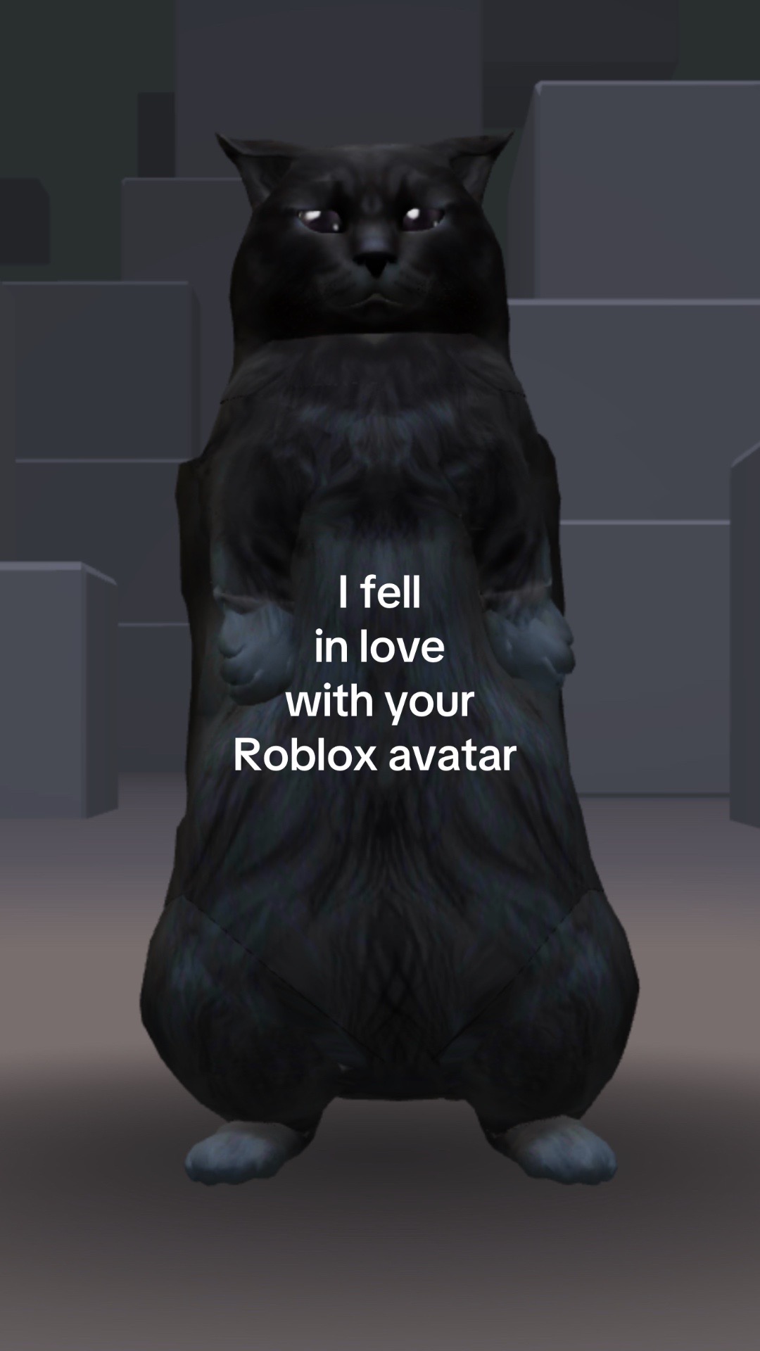 @jen🩷🐾