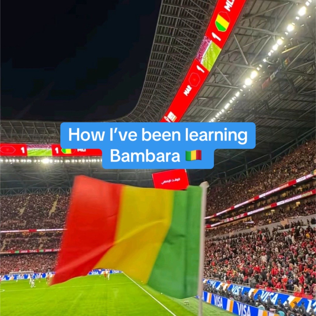@languagelearner
