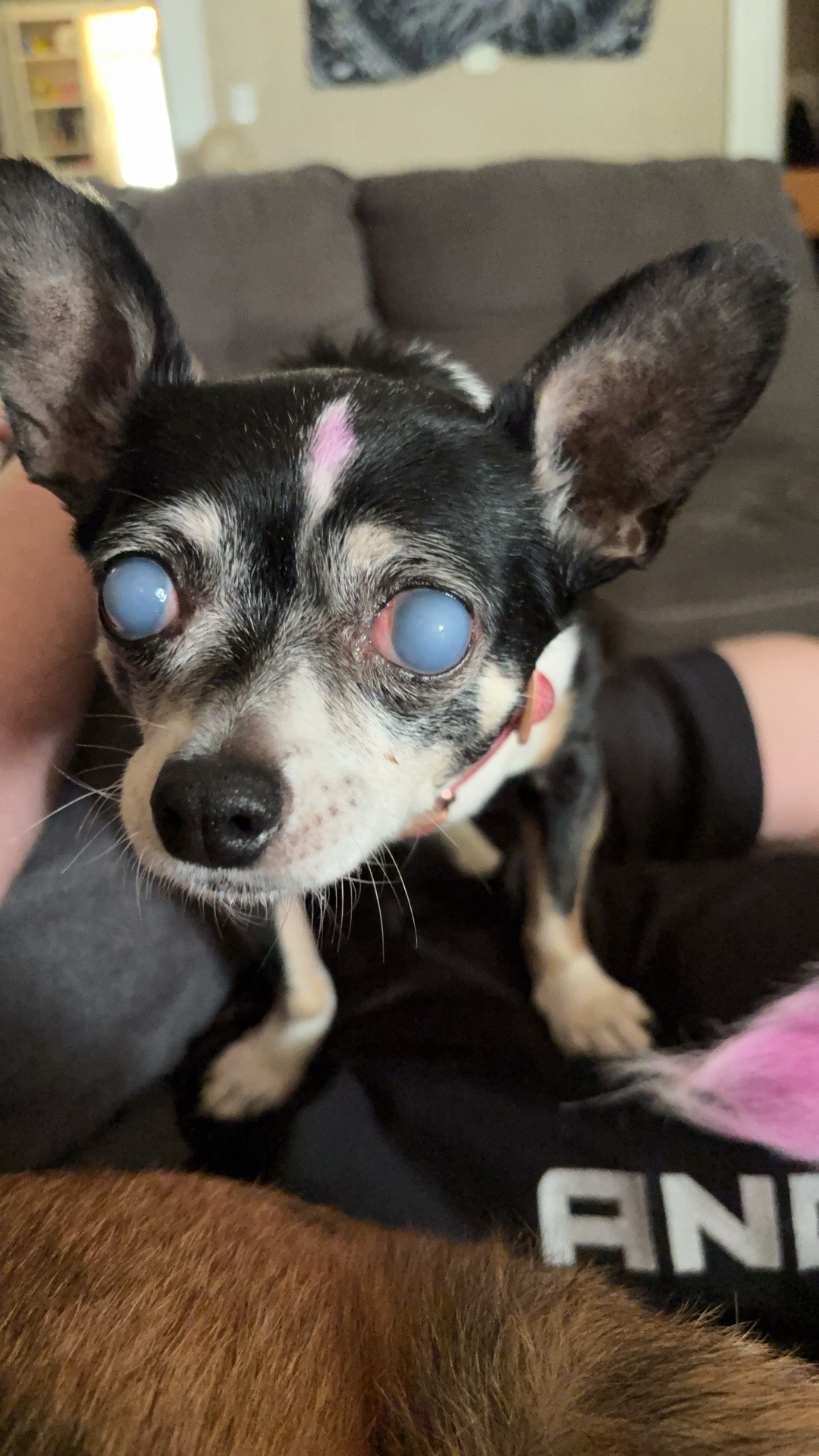 @𝕿𝖗𝖎𝖝 𝖂𝖎𝖓𝖈𝖍𝖊𝖘𝖙𝖊𝖗