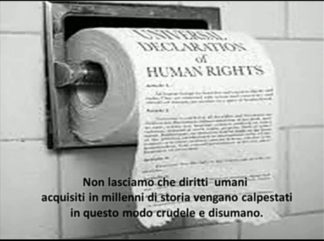 @Irene Silvestri 50