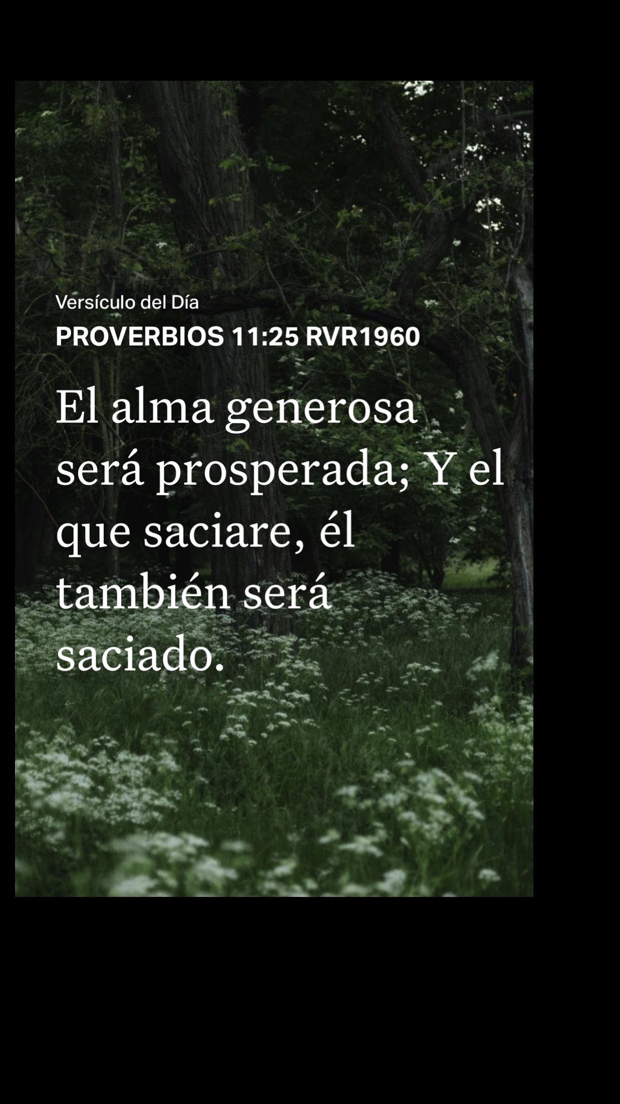@Ministerio Luz a las Naciones