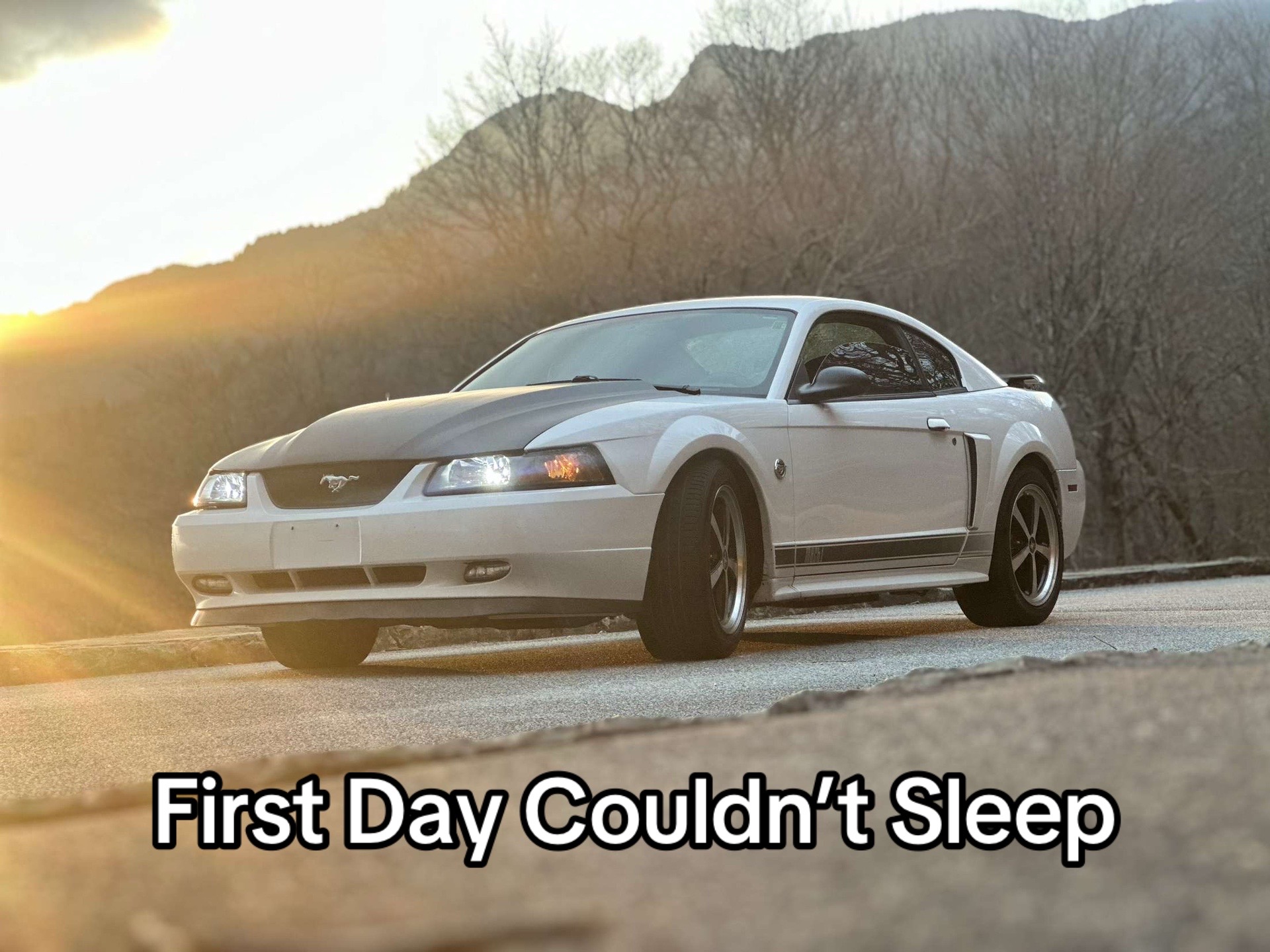 @ThatSlowFox
