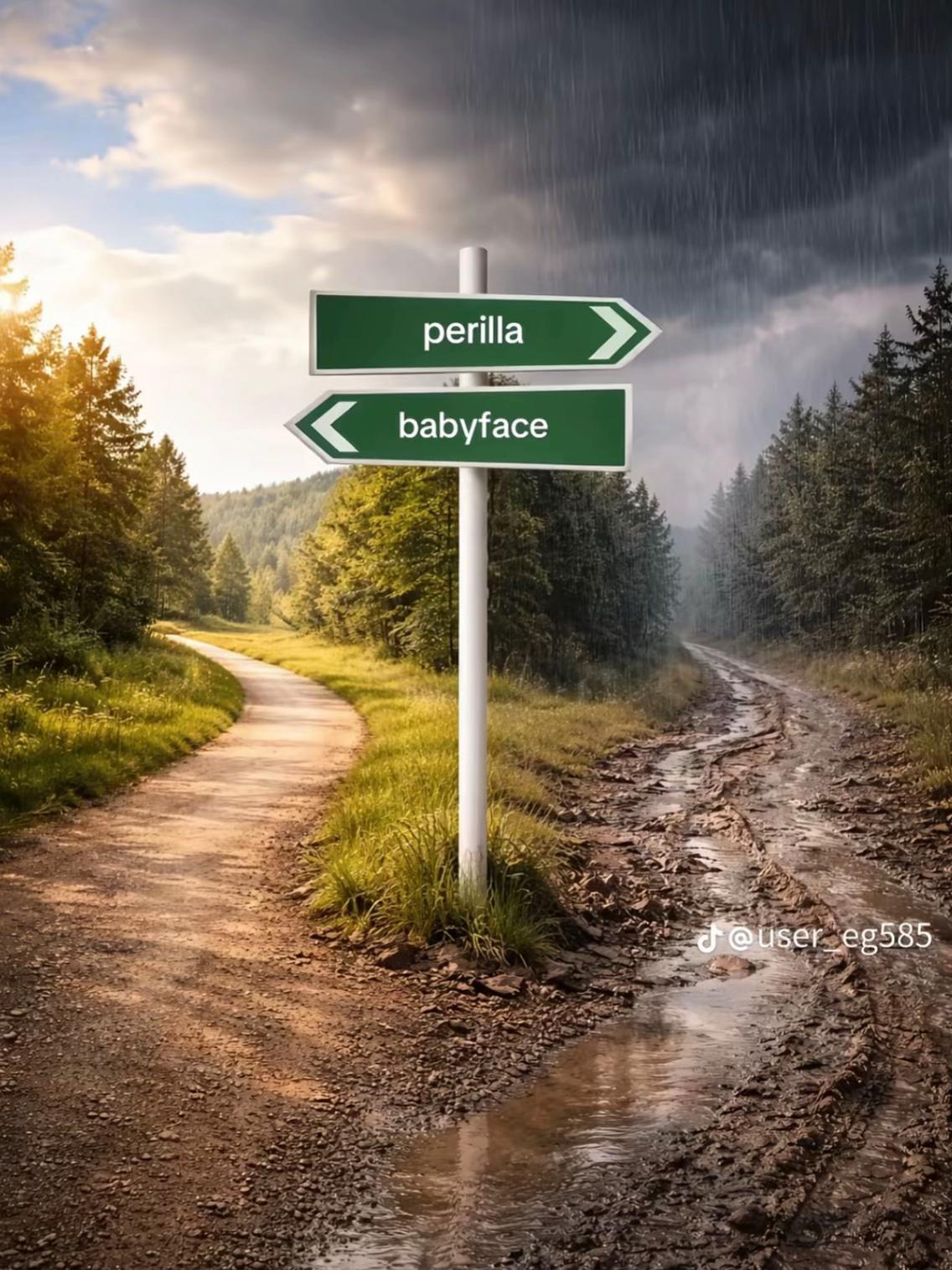 @𝓓𝓪𝓷𝓲𝓮𝓵𝓪