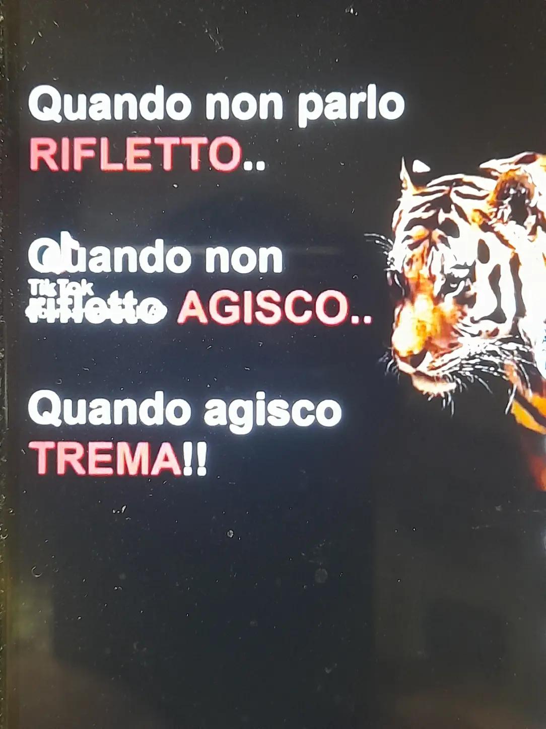 @🔥 la volpe rossa 🔥