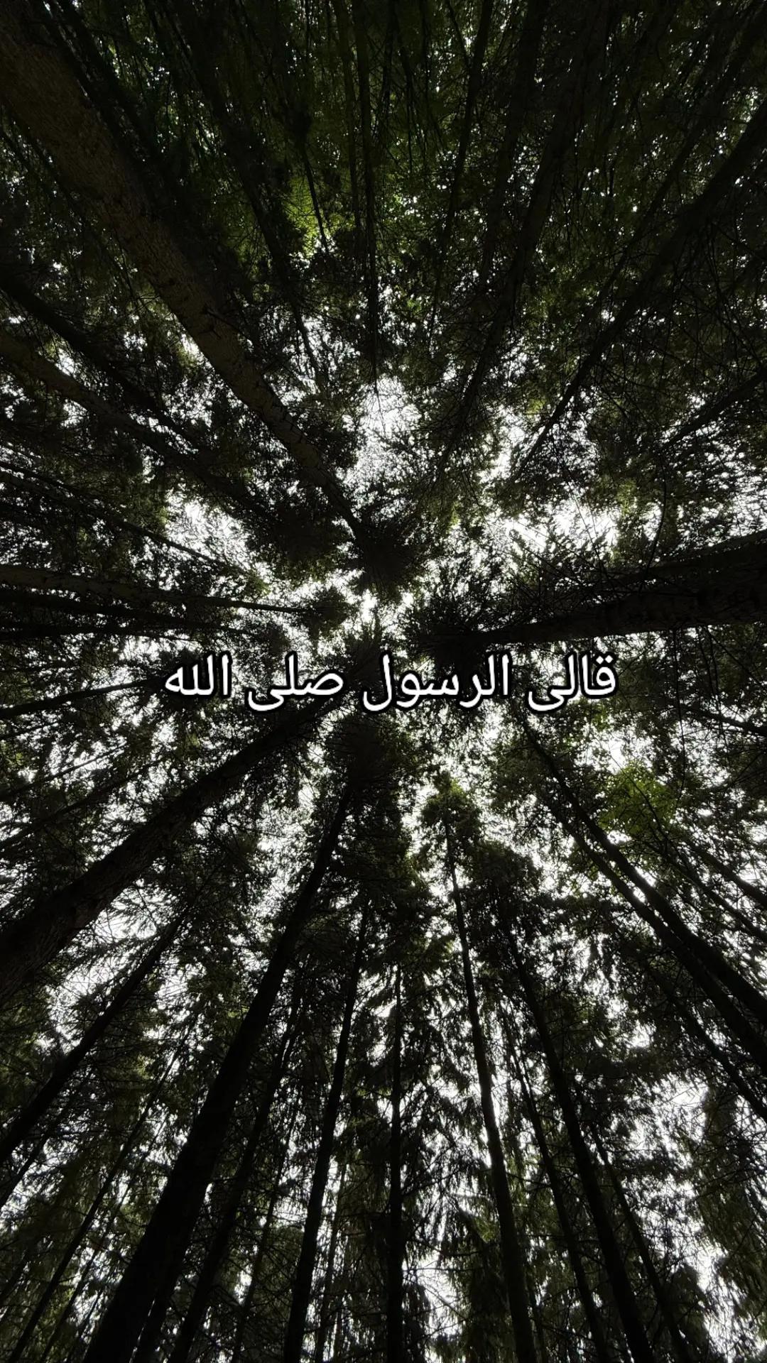@القرآن الكريم
