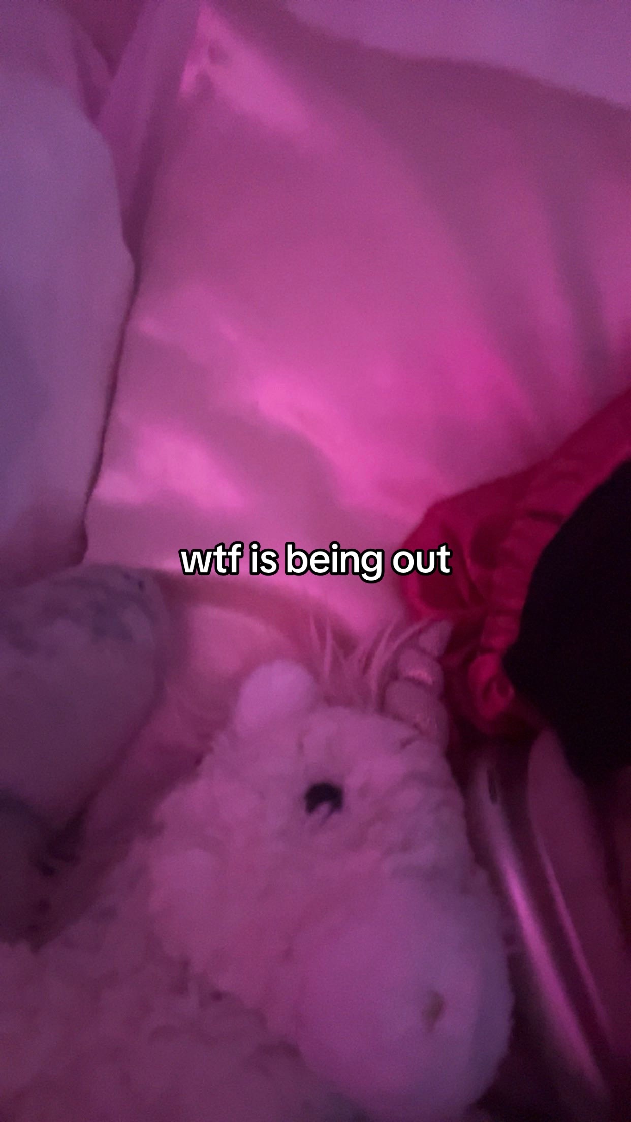 @blissfulunicornshi