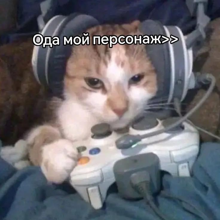 @aksii_