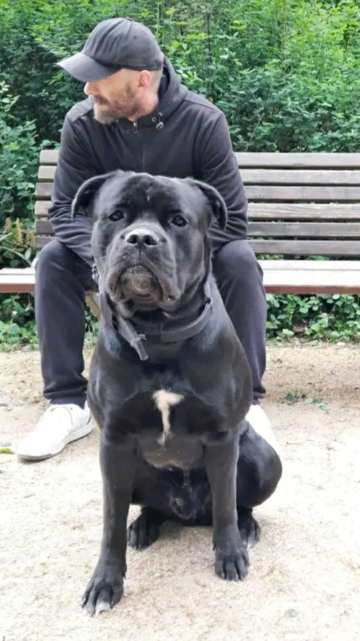 @BeastDNA