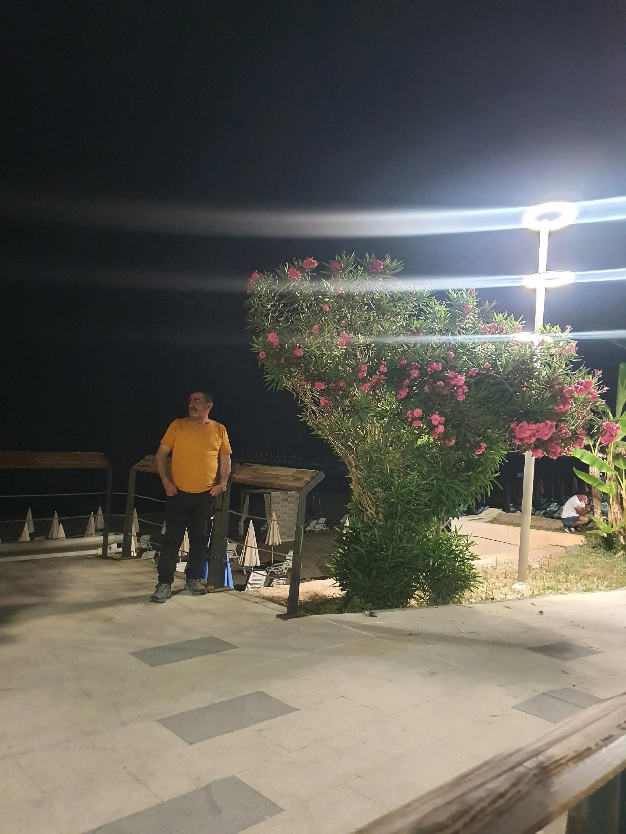 @İrfan