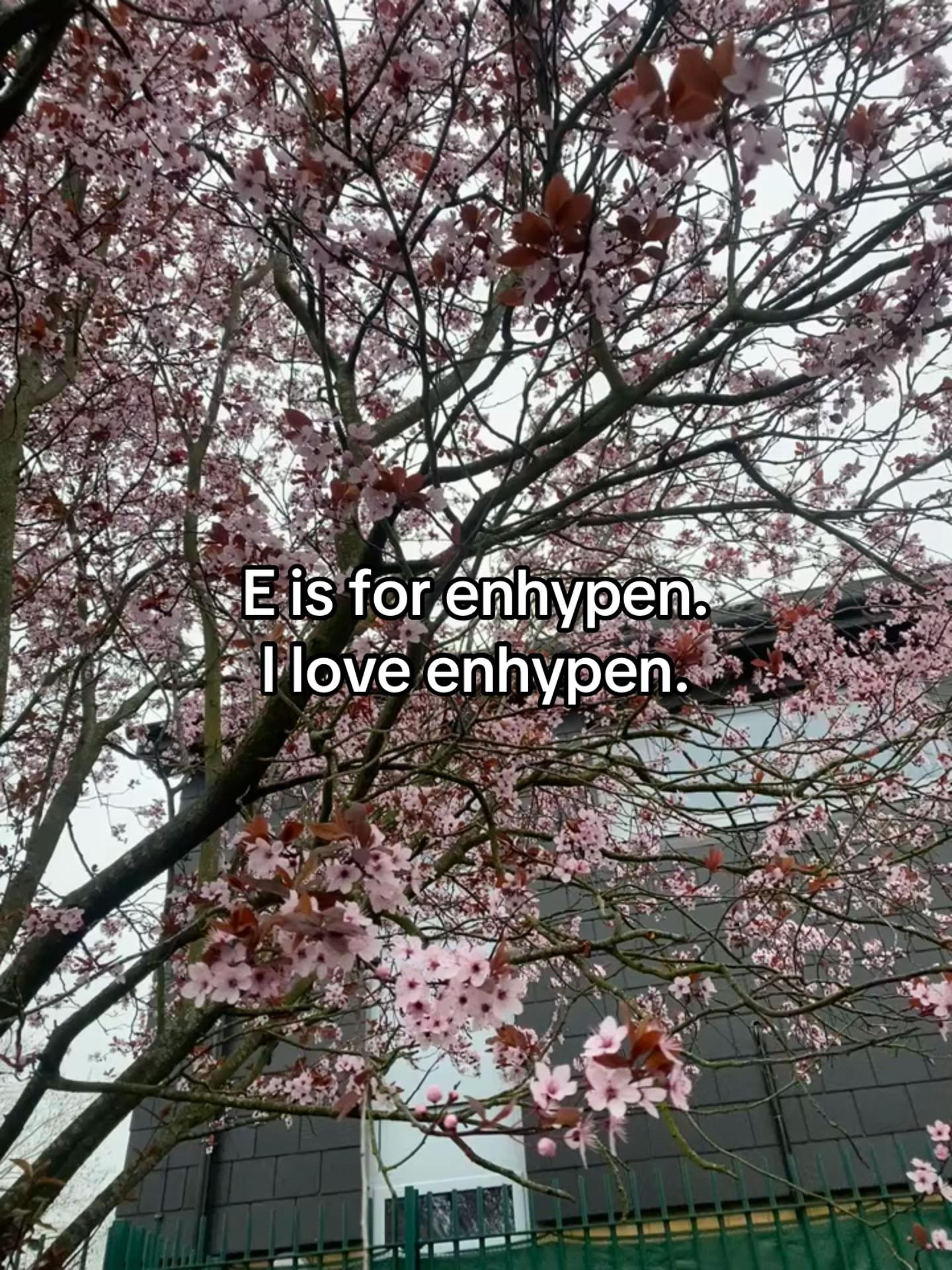 @ƦAꞮA&sup1;⁰⁰⁹୨ৎ(ᴘɪɢɢʏ&rsquo;ꜱ ᴠᴇʀ)