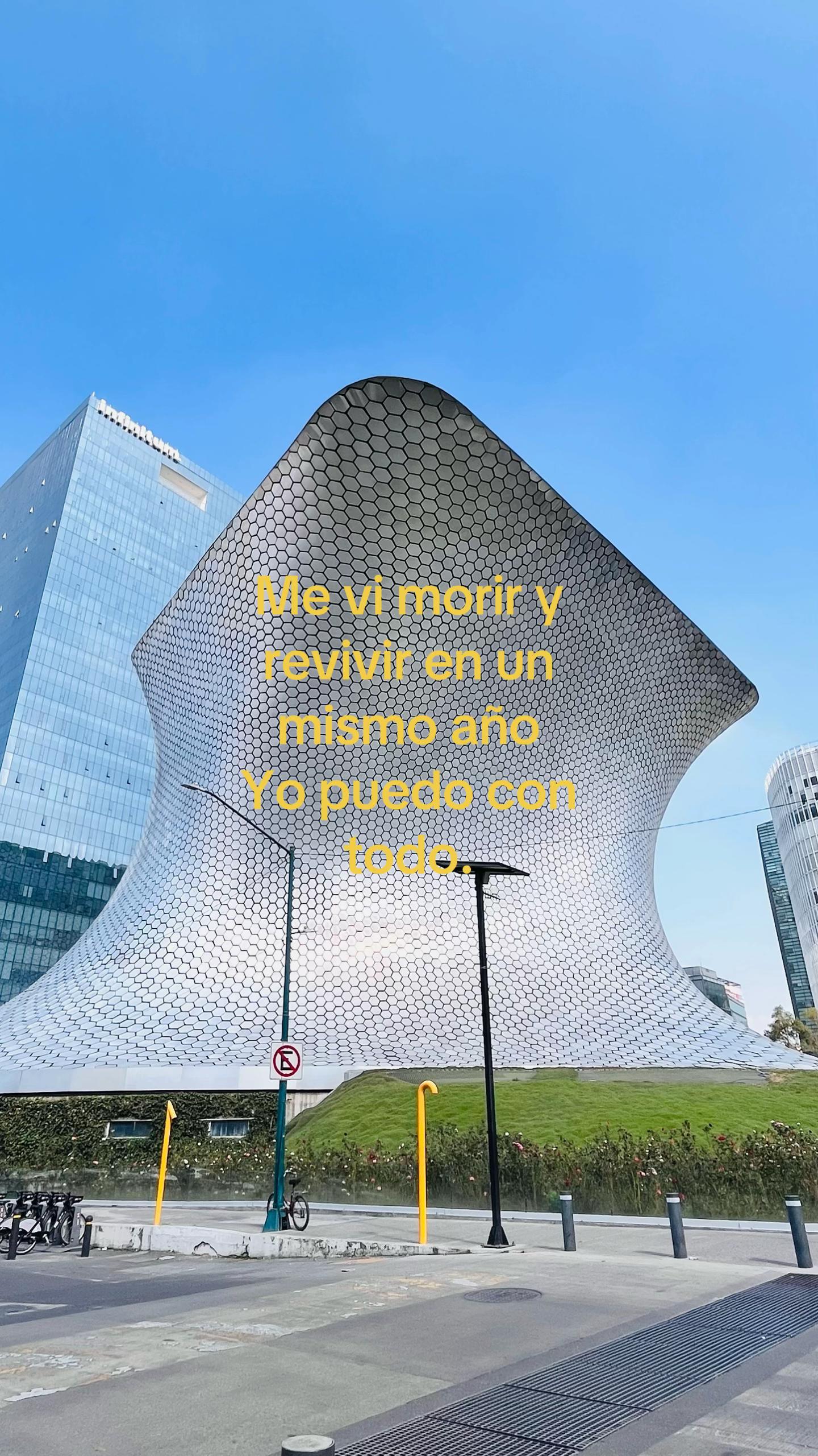 @romanmulller ♛