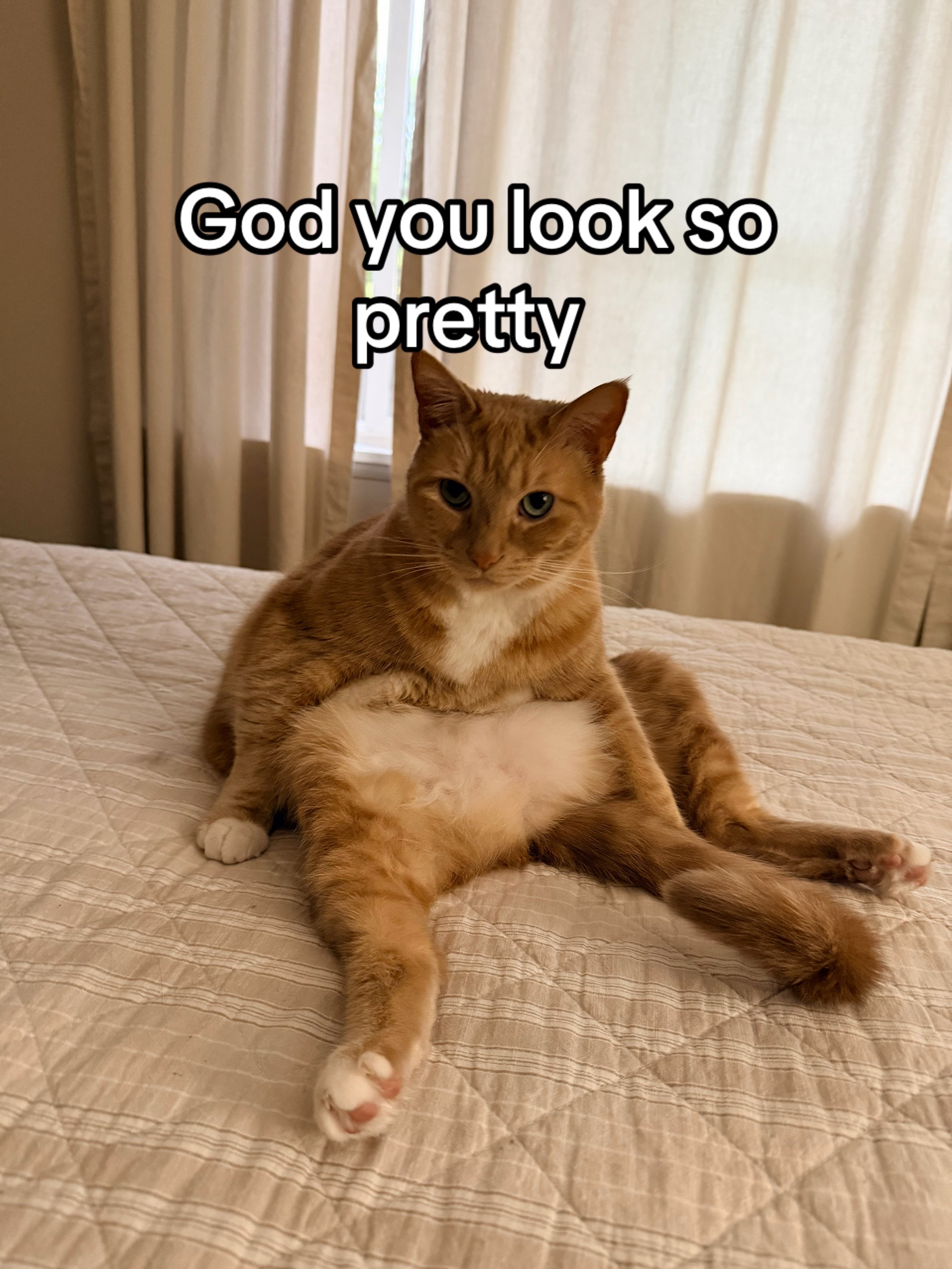 @KittyKat