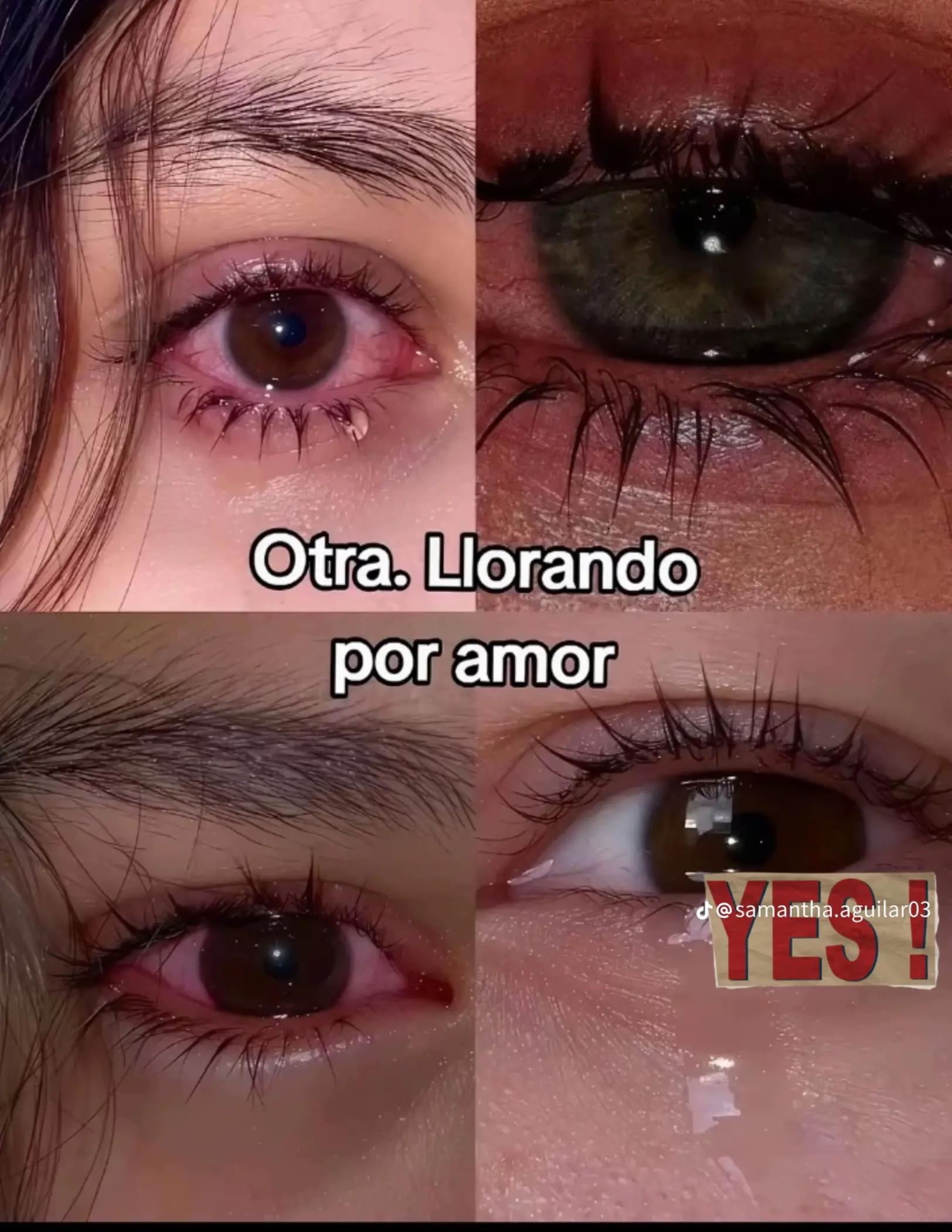 @pato