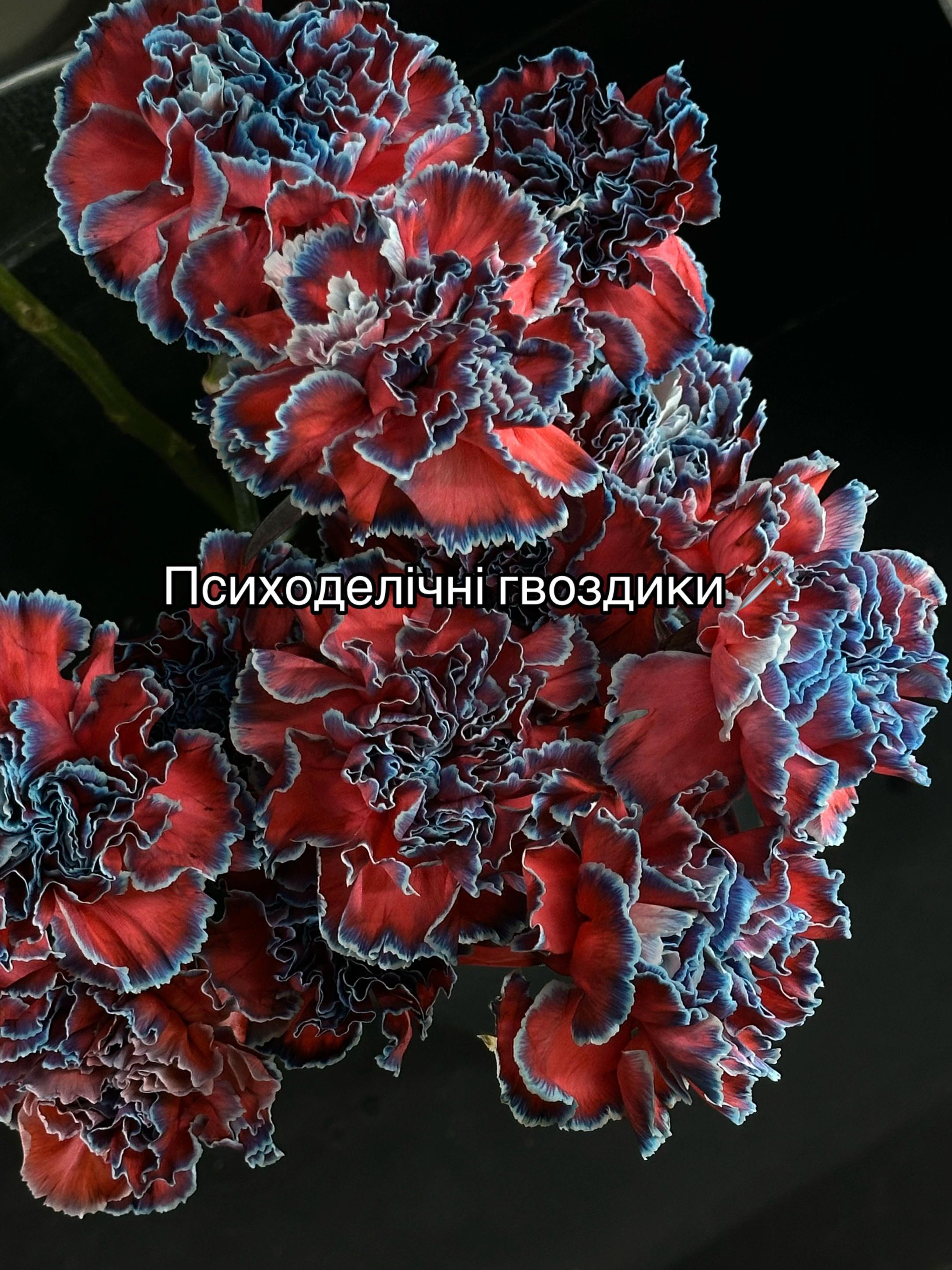 @gardenist.concept