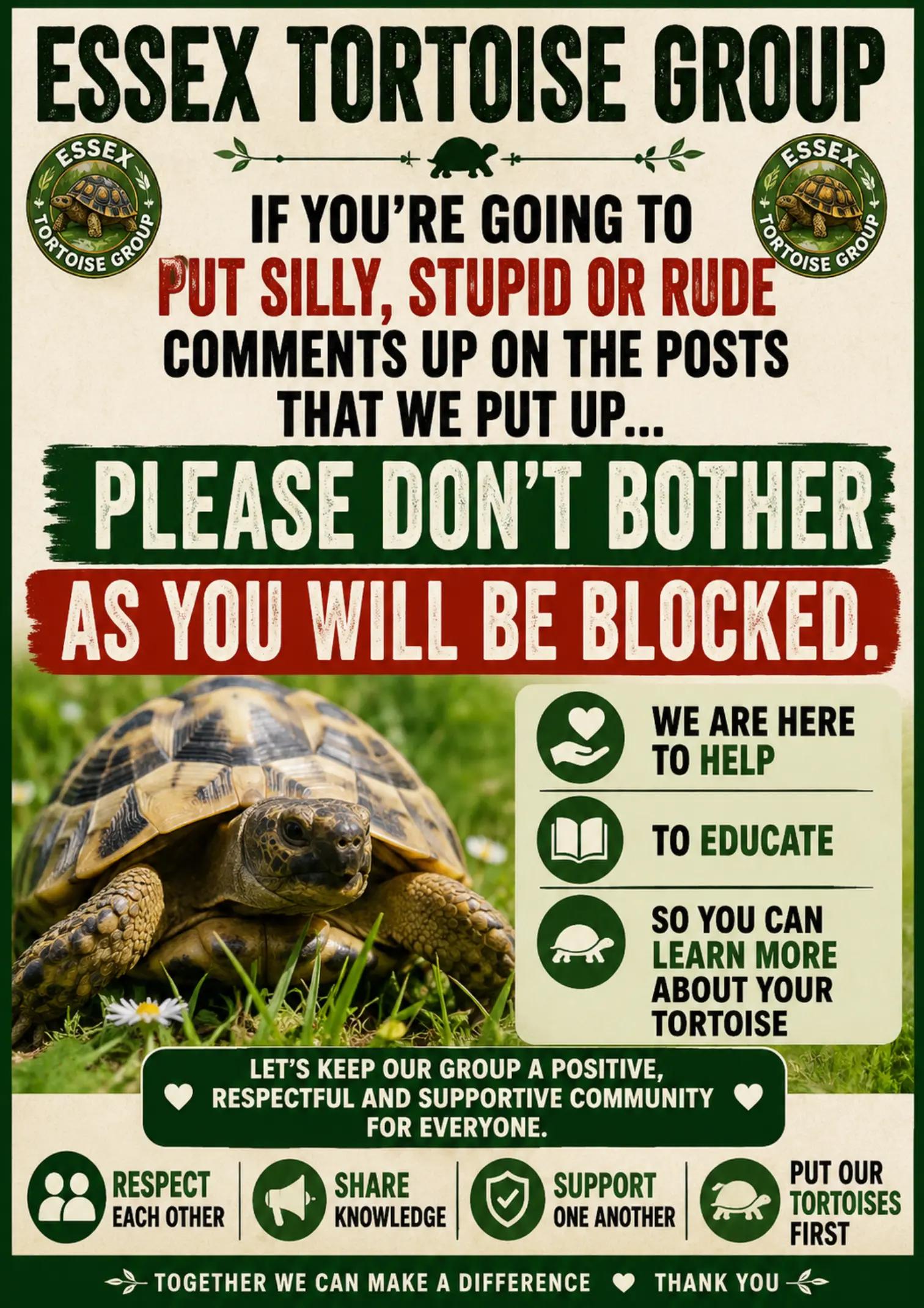 @essex tortoise group