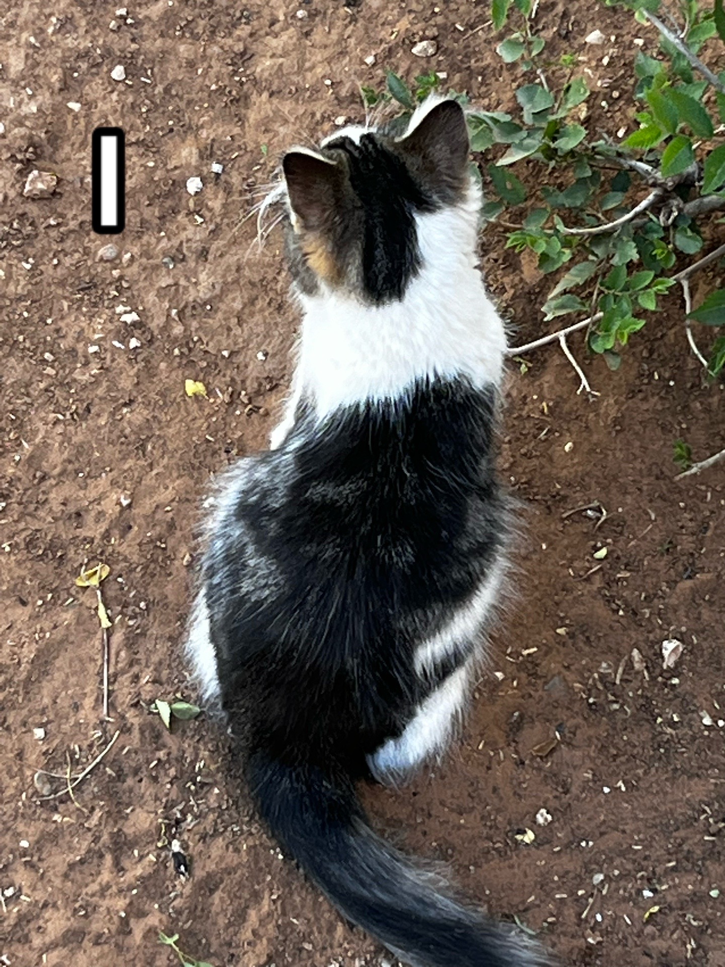 @Äńġệŀ 💋∜