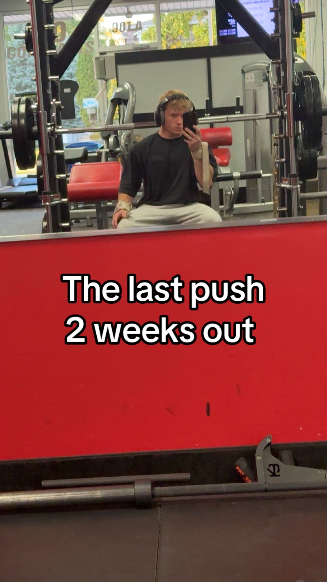 @Smallguygavin 🧬
