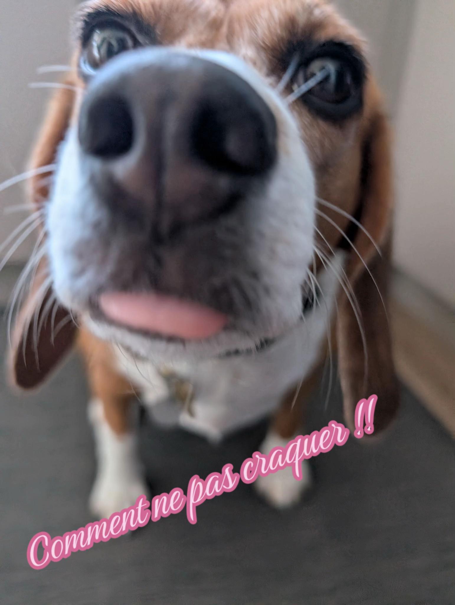 @miss.pulpeuse