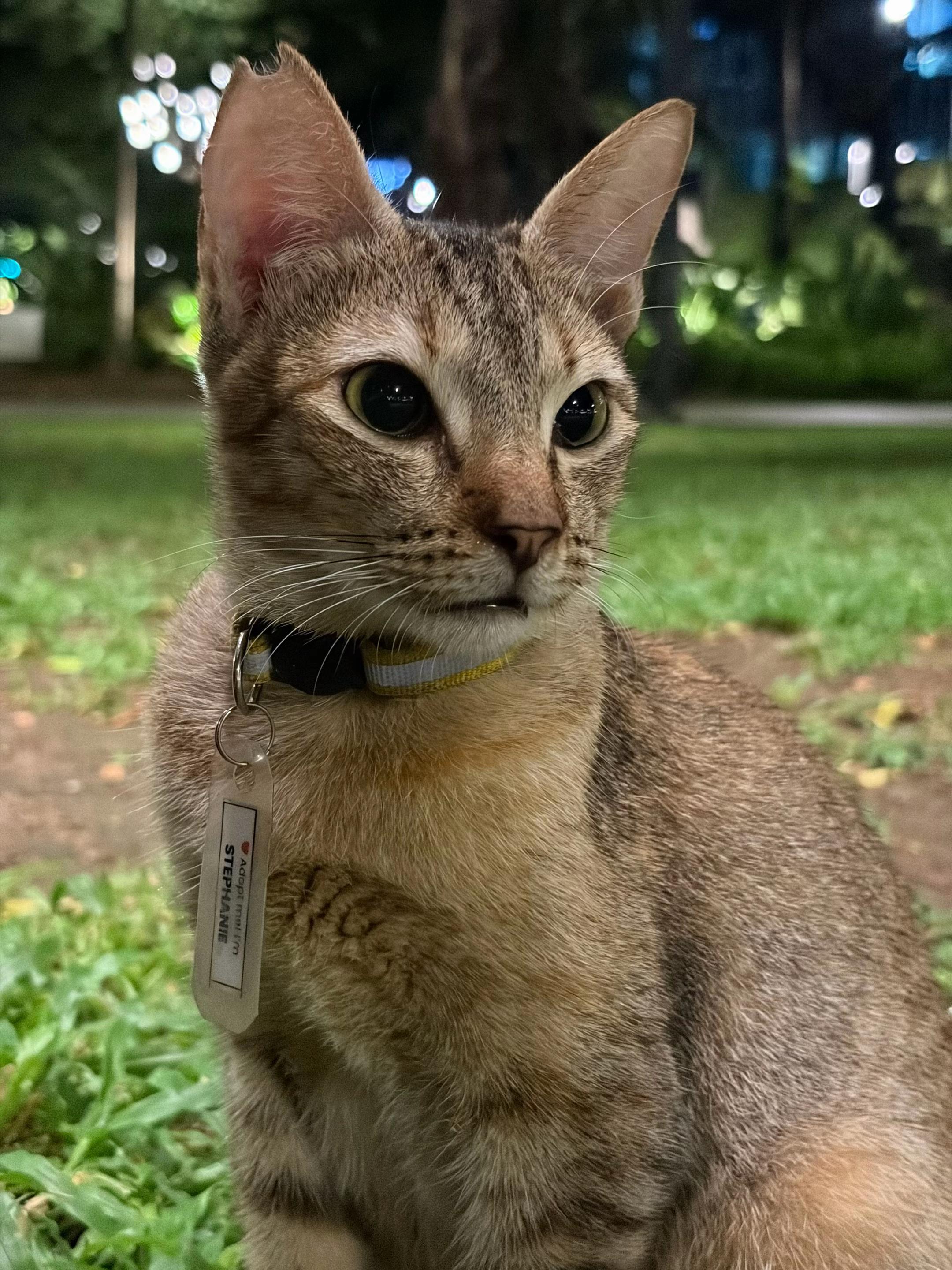 @ᘻᗩᖇᑘ