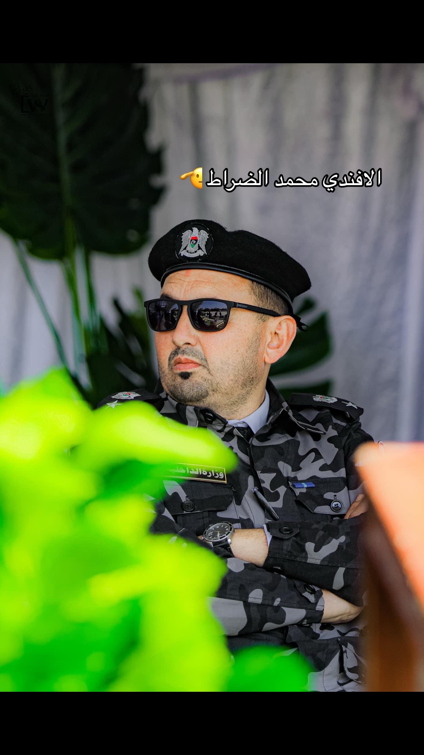 @أسد المهام