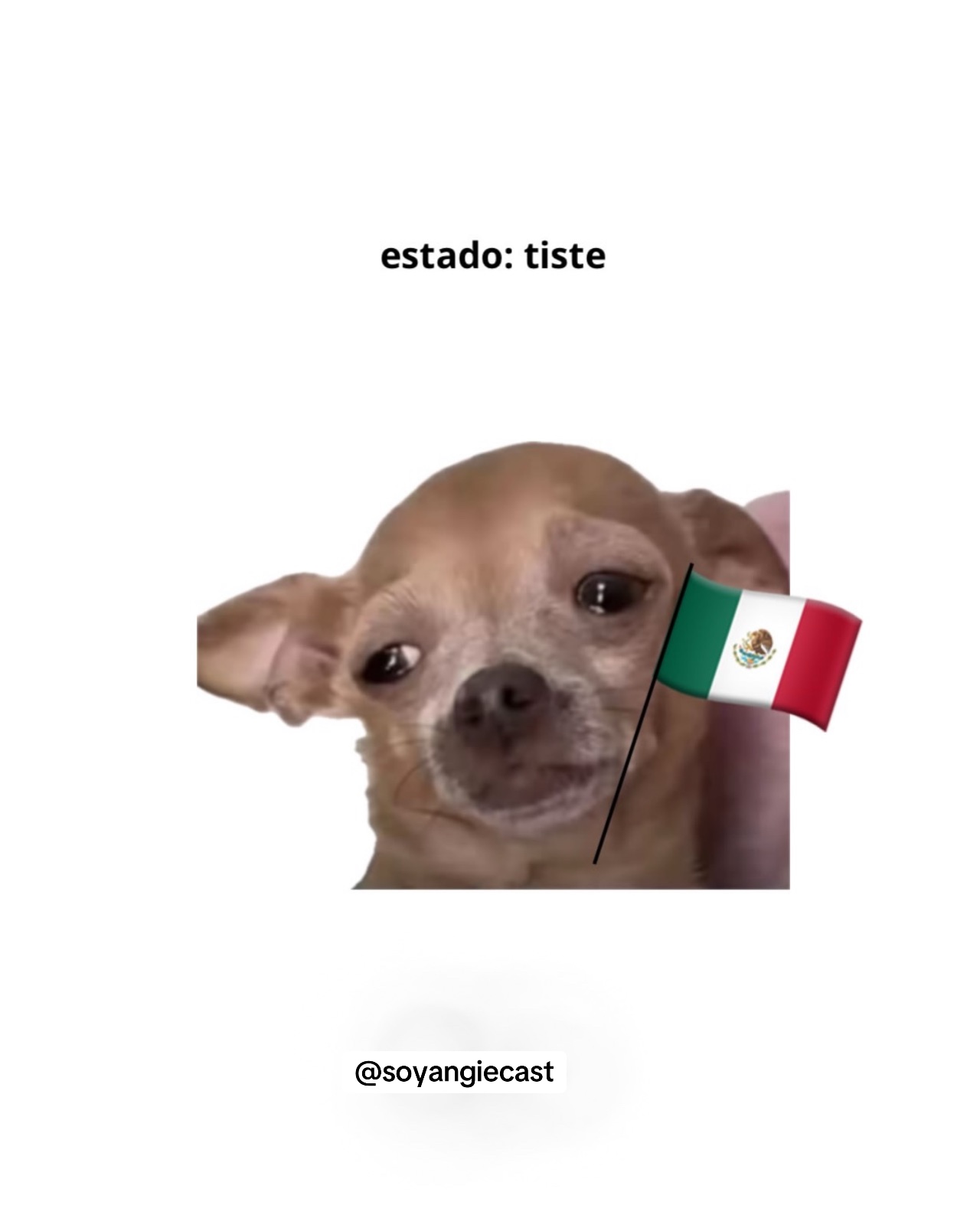 @️Angie Cast