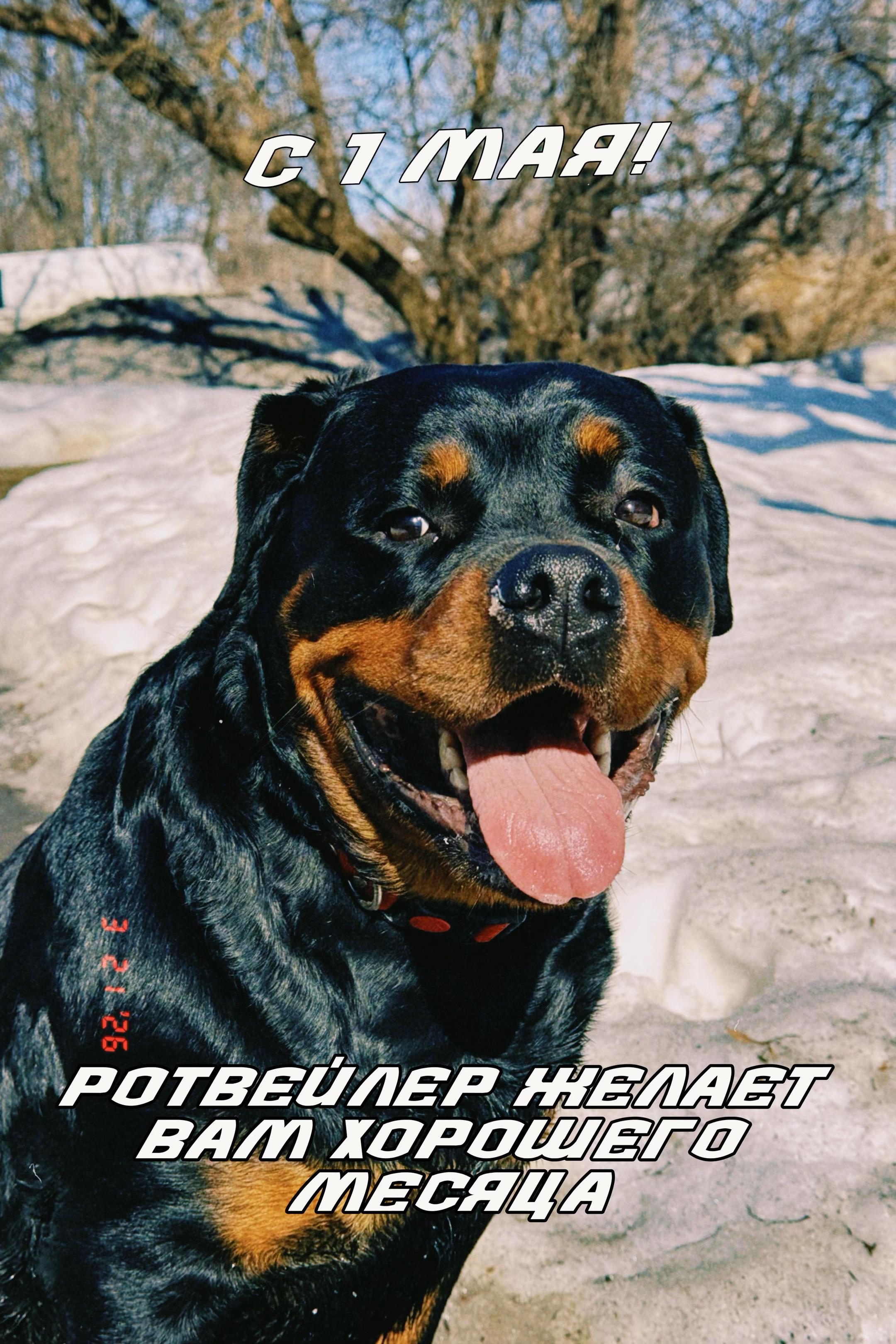 @vircruft
