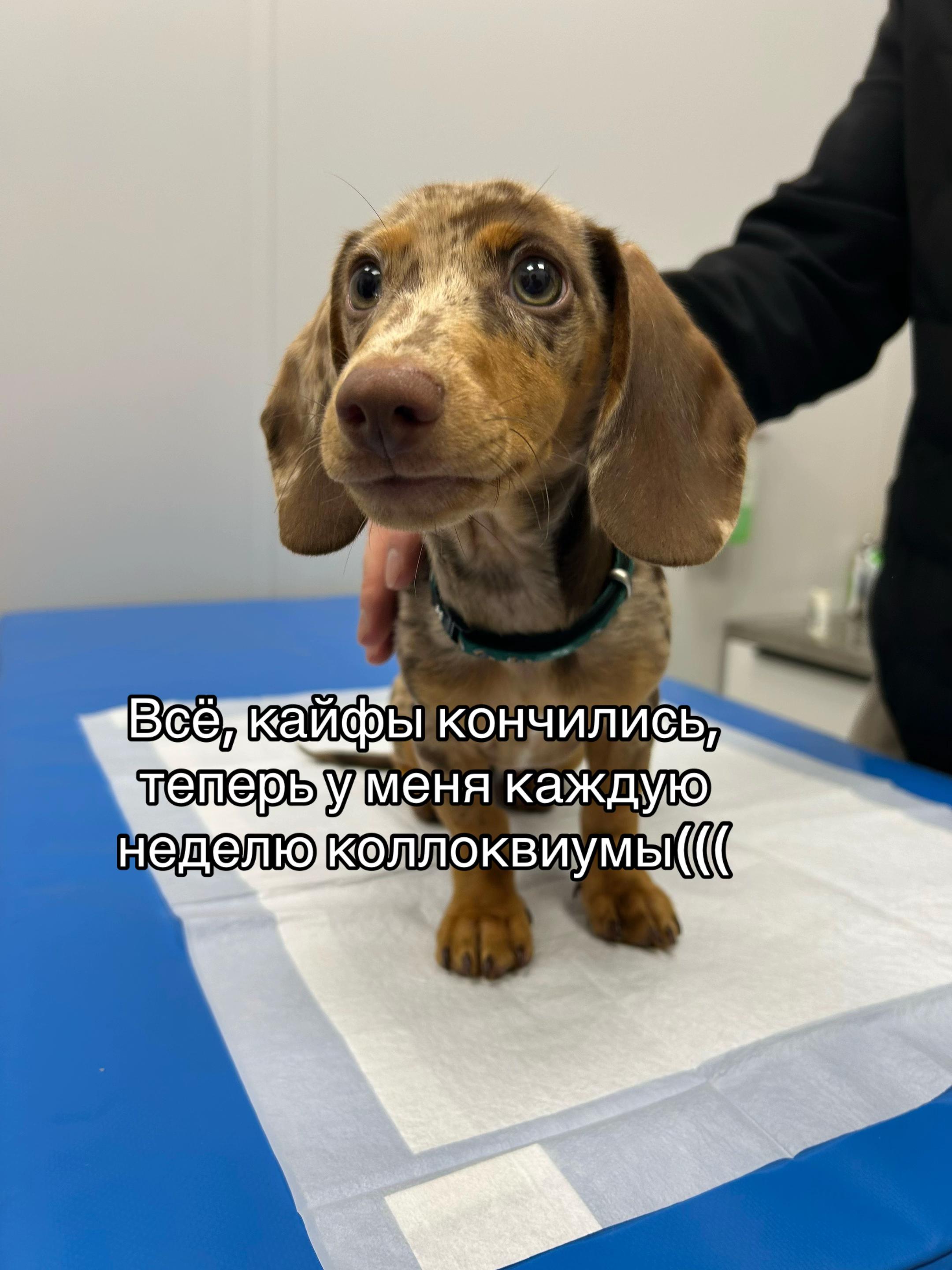@Бельферг