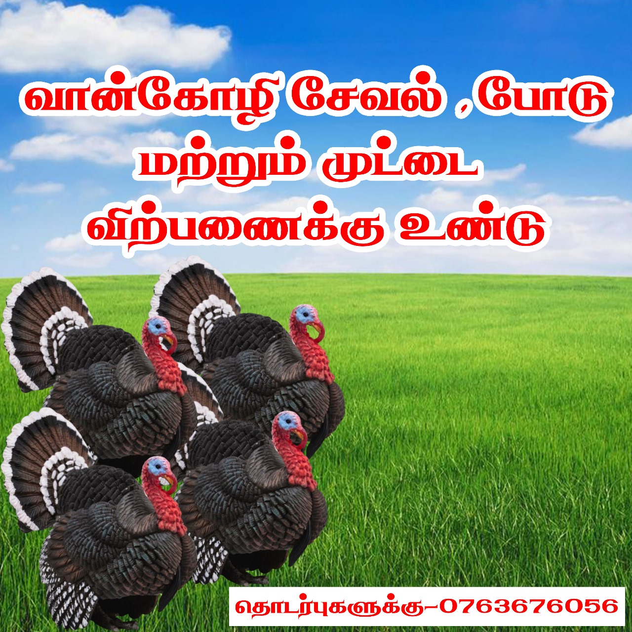 @🕉️☪️ Hello Ammachi ☸️✝️