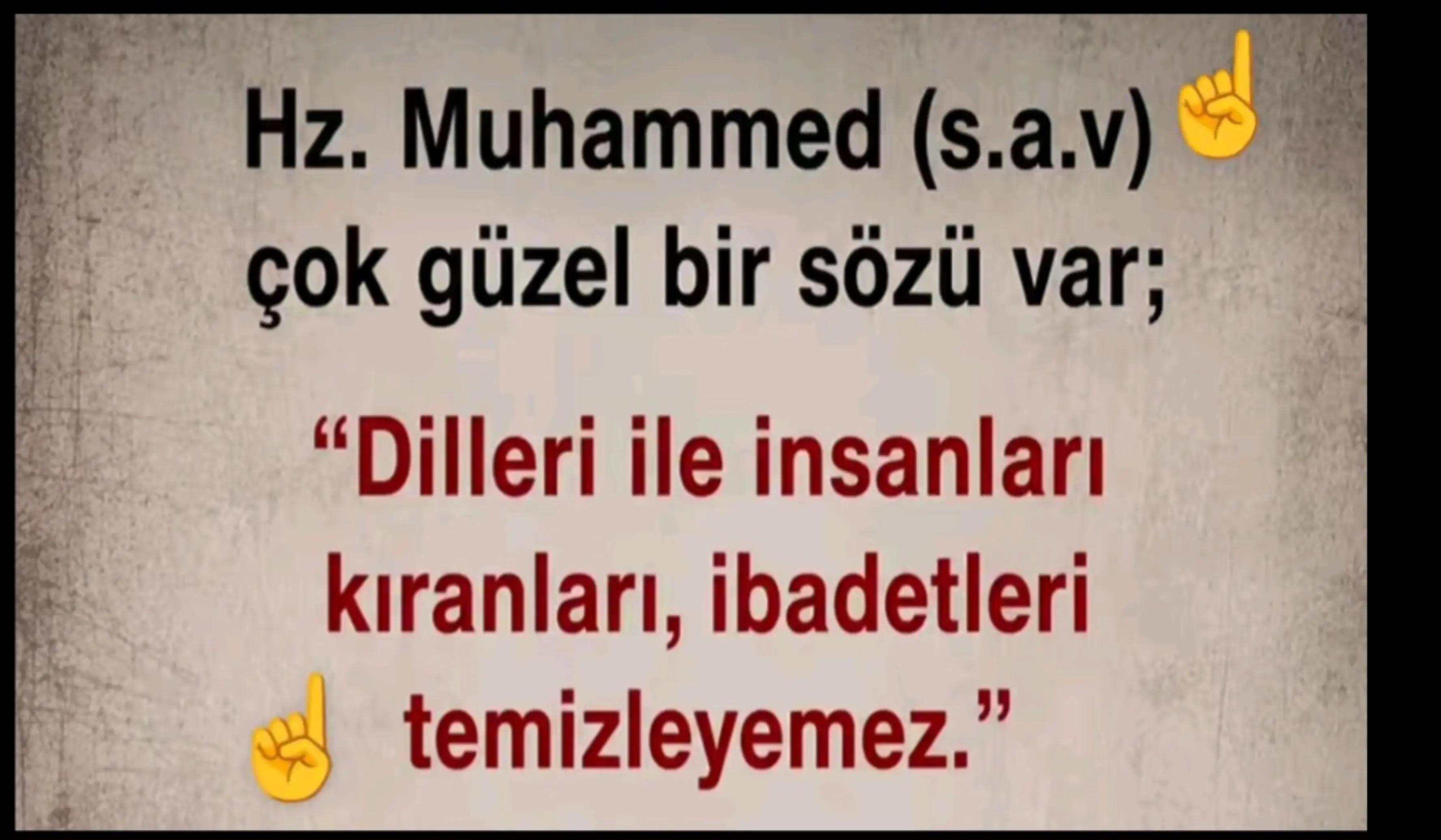 @fidansamet68