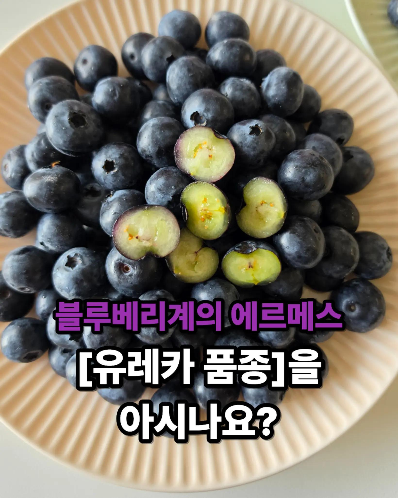 @진심먹거리