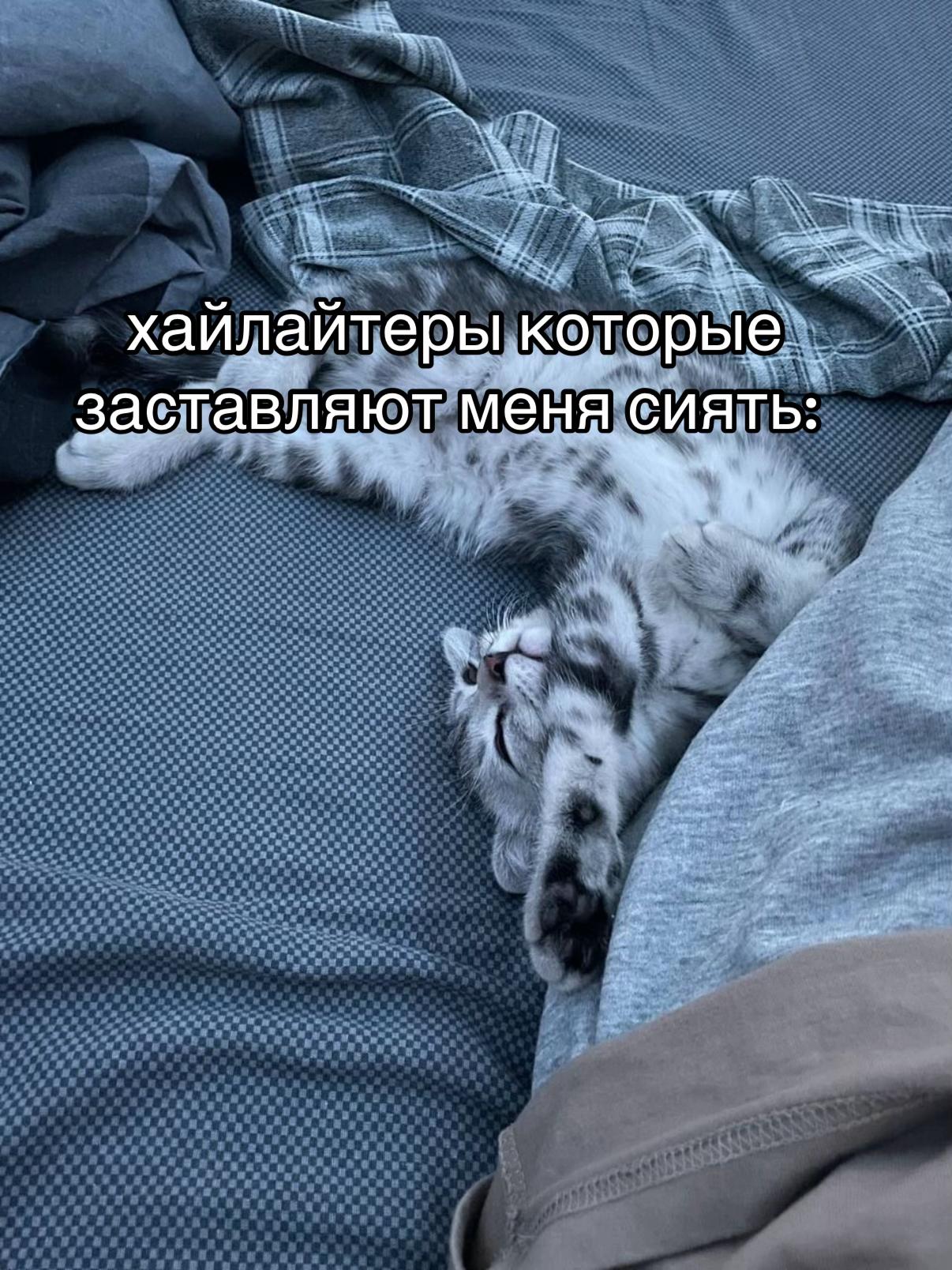 @висФЕЙЛ❌