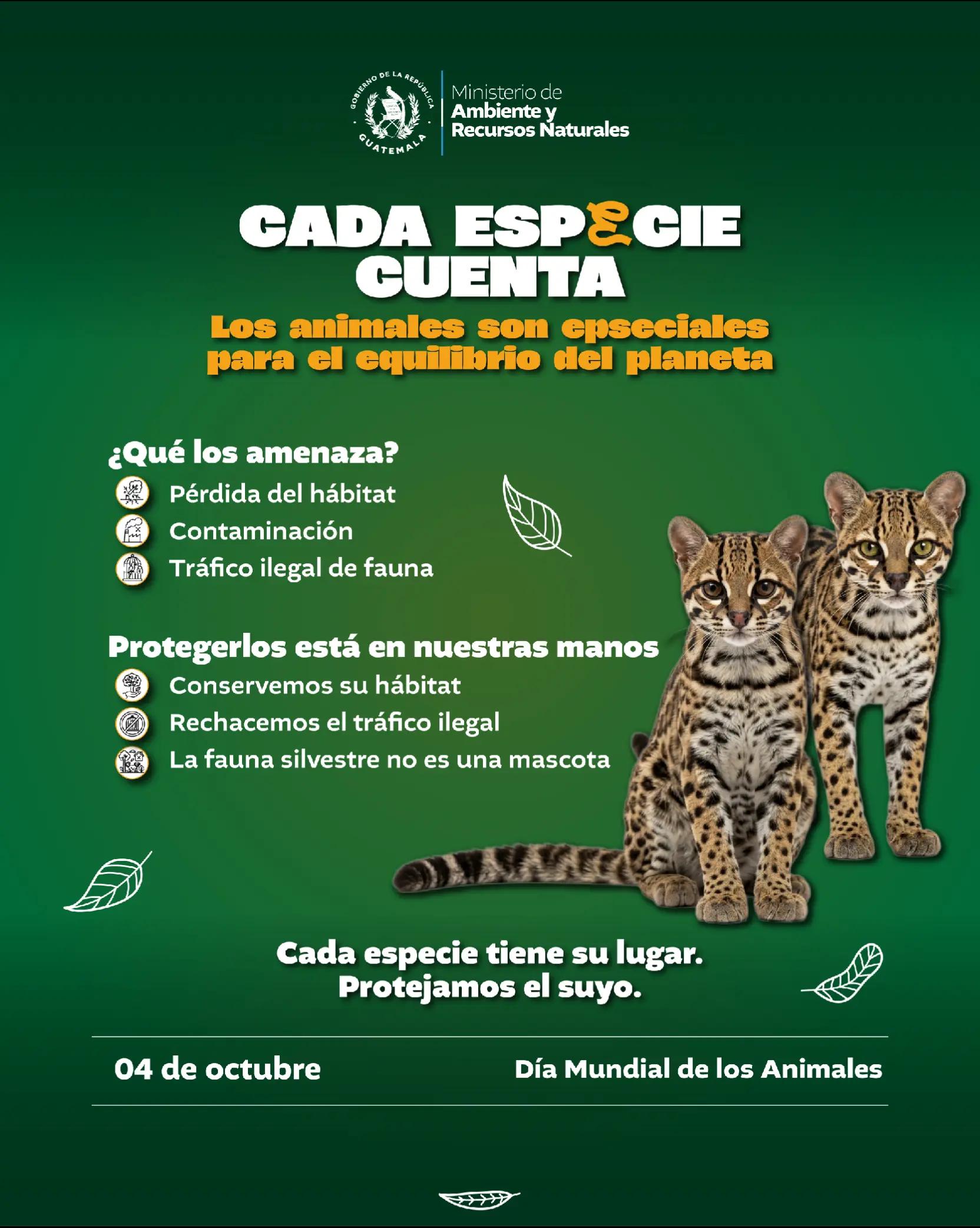 @Ministerio de Ambiente GT