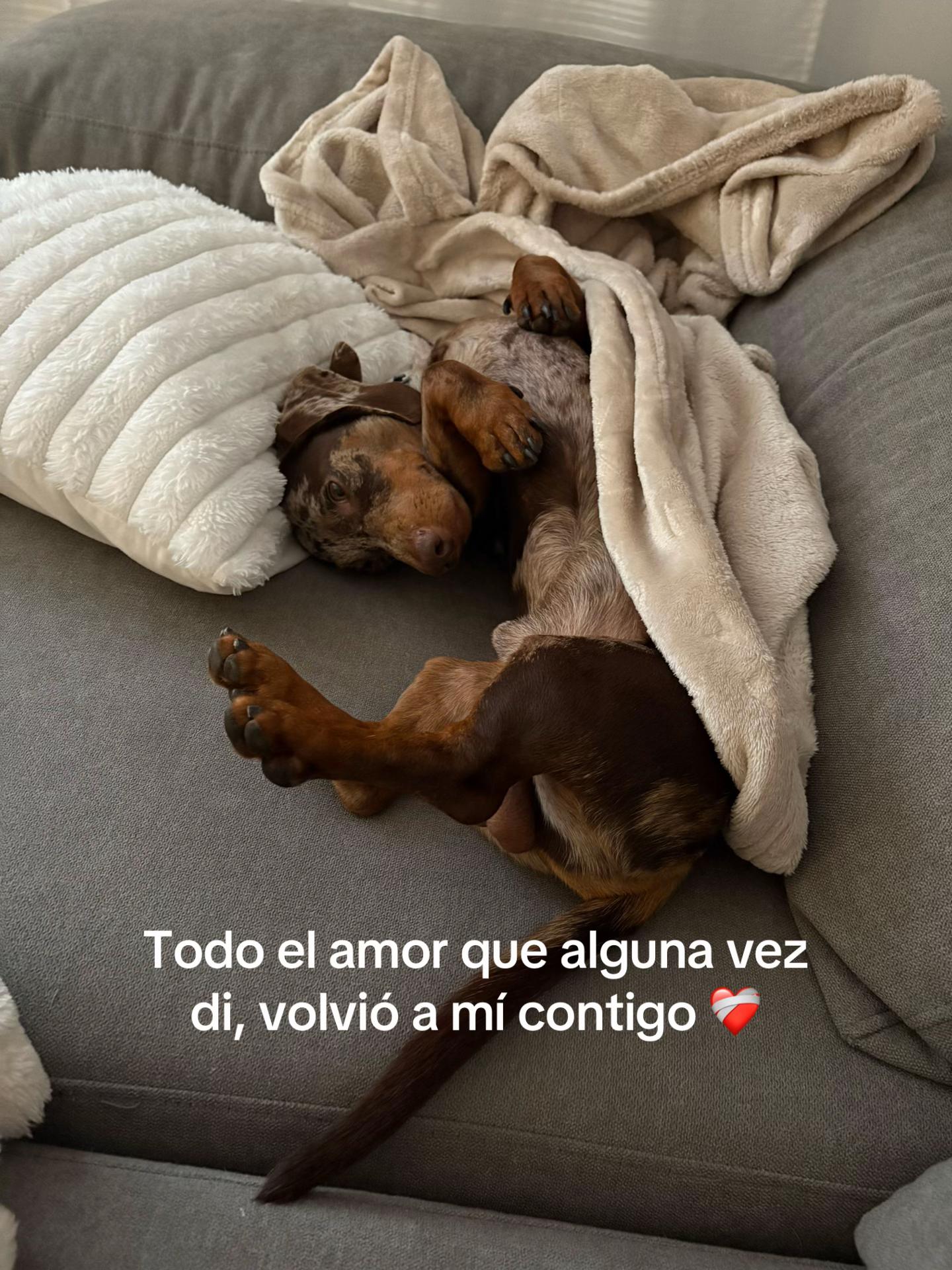 @Saarinss