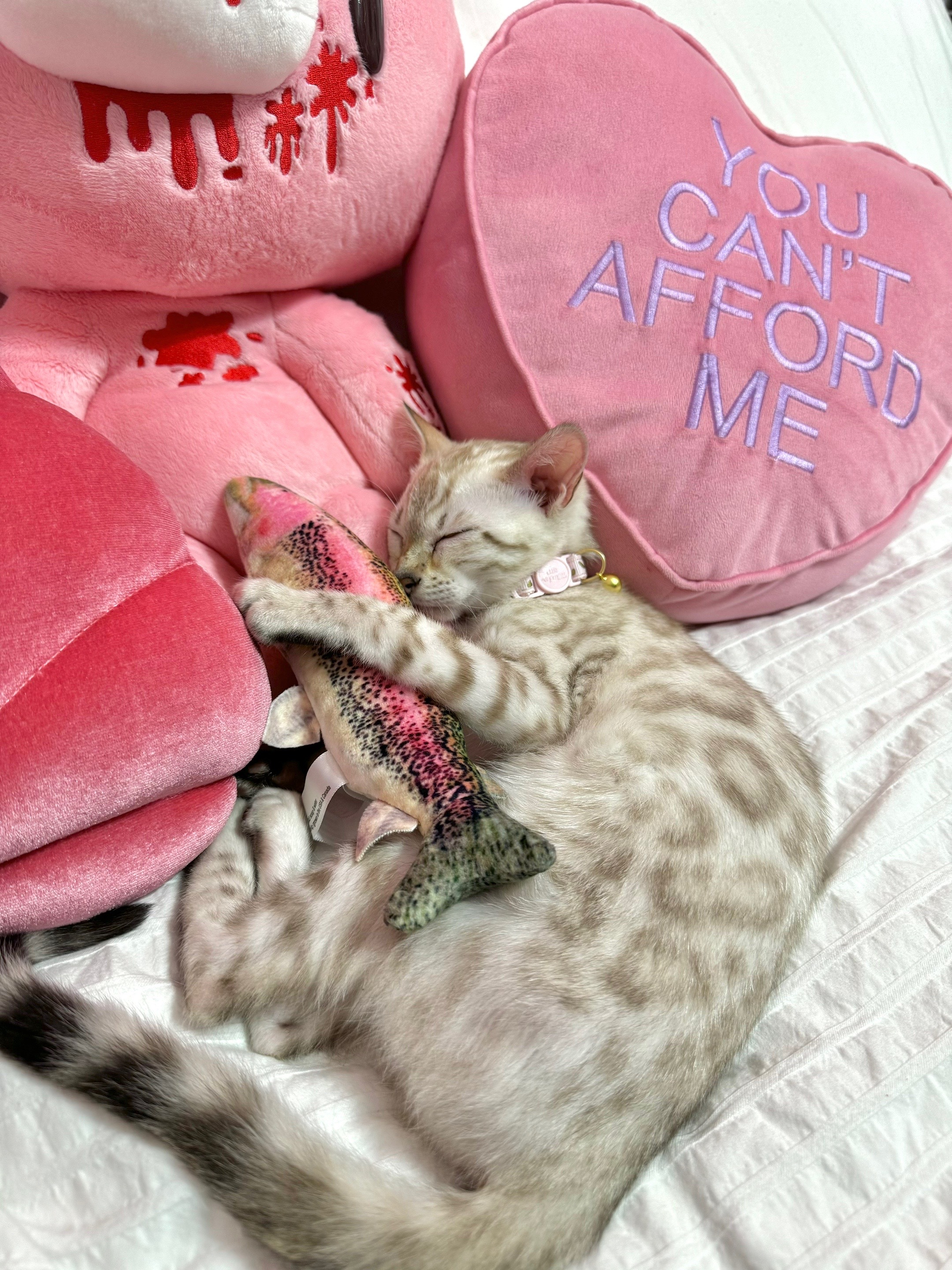 @Mirajane The Bengal🐾