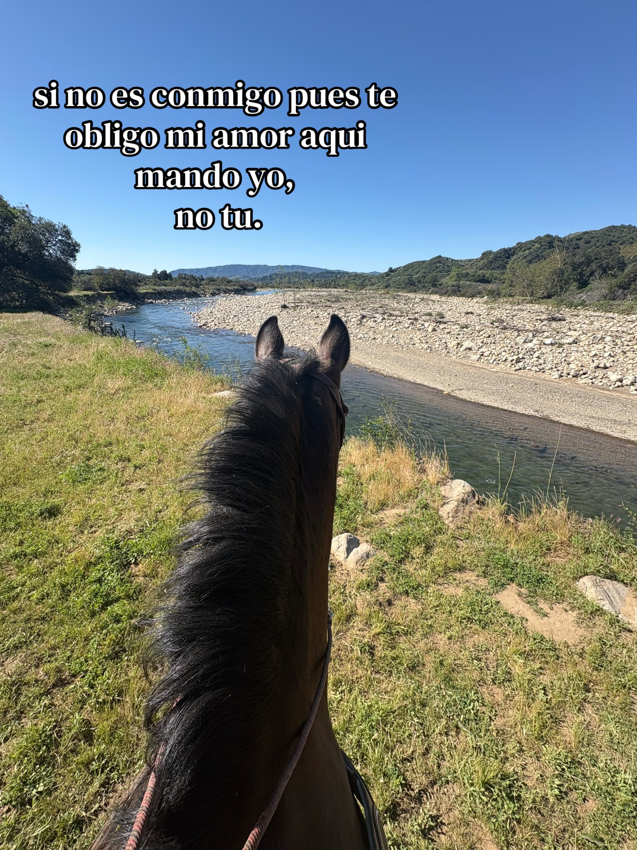 @Darlin Kimberly Martínez