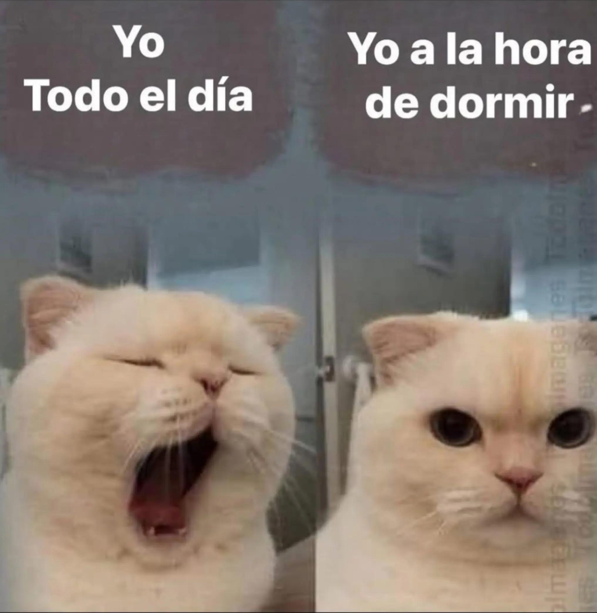 @Alexander✅️