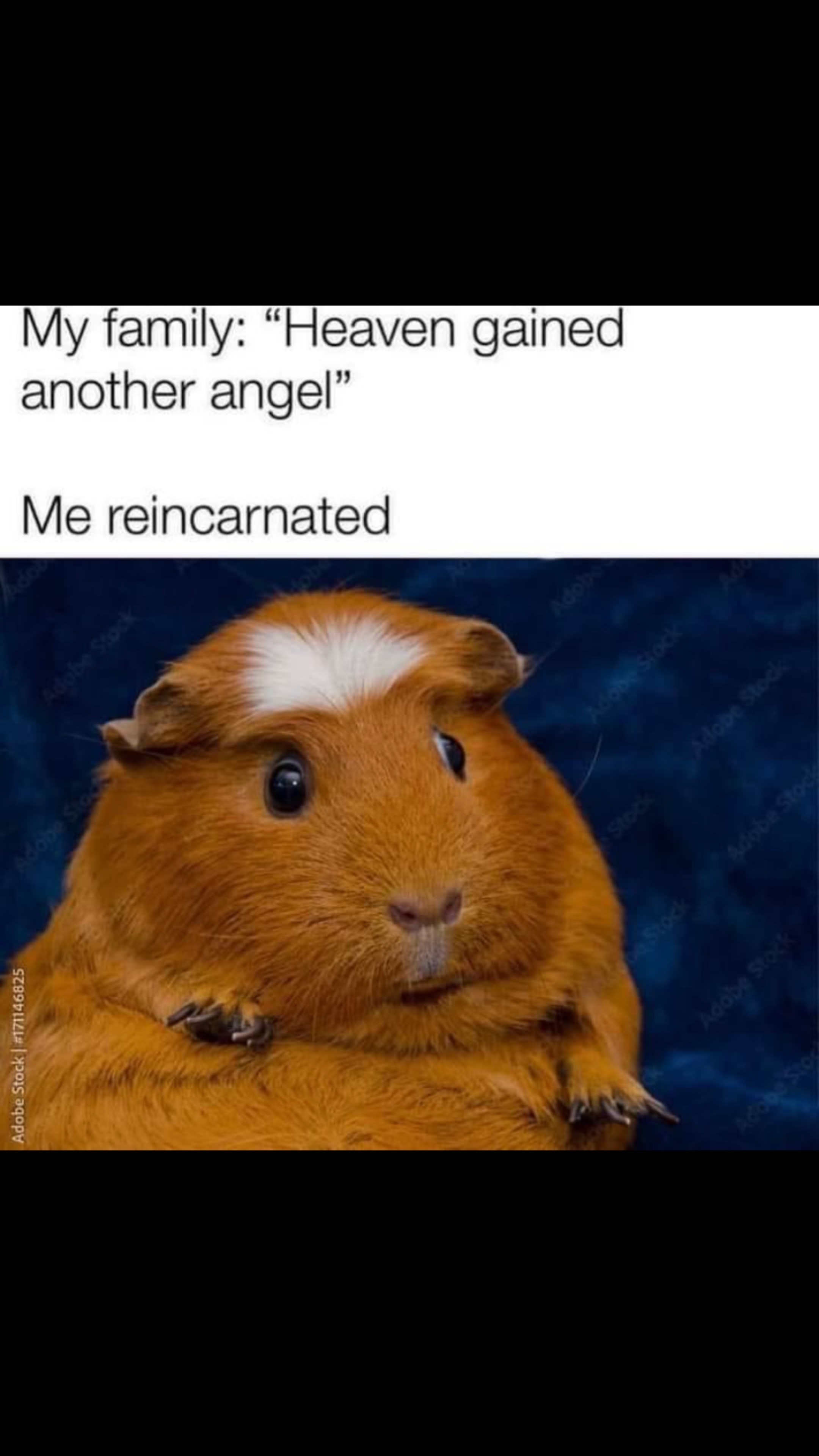 @Patti