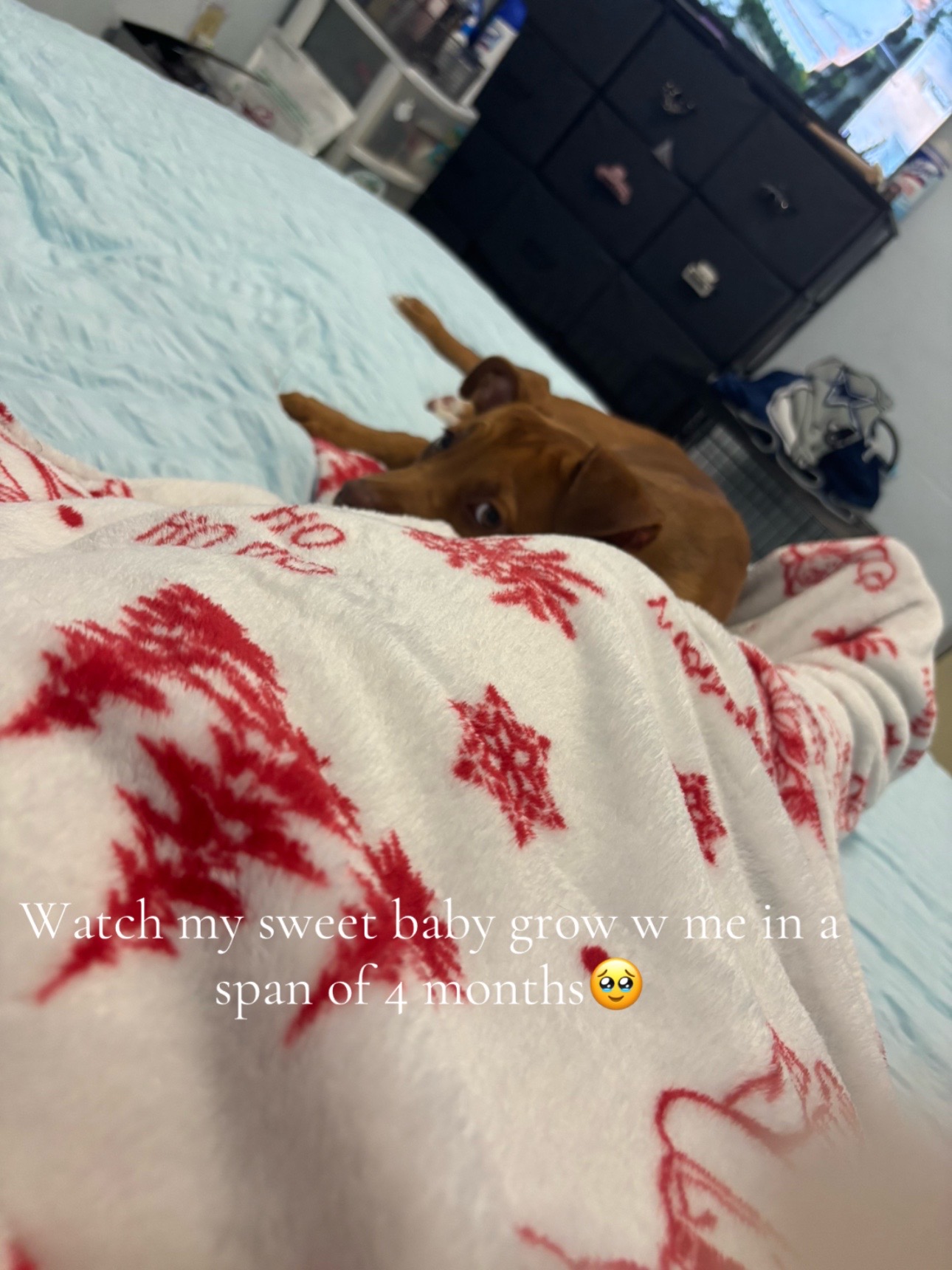 @kwtetee