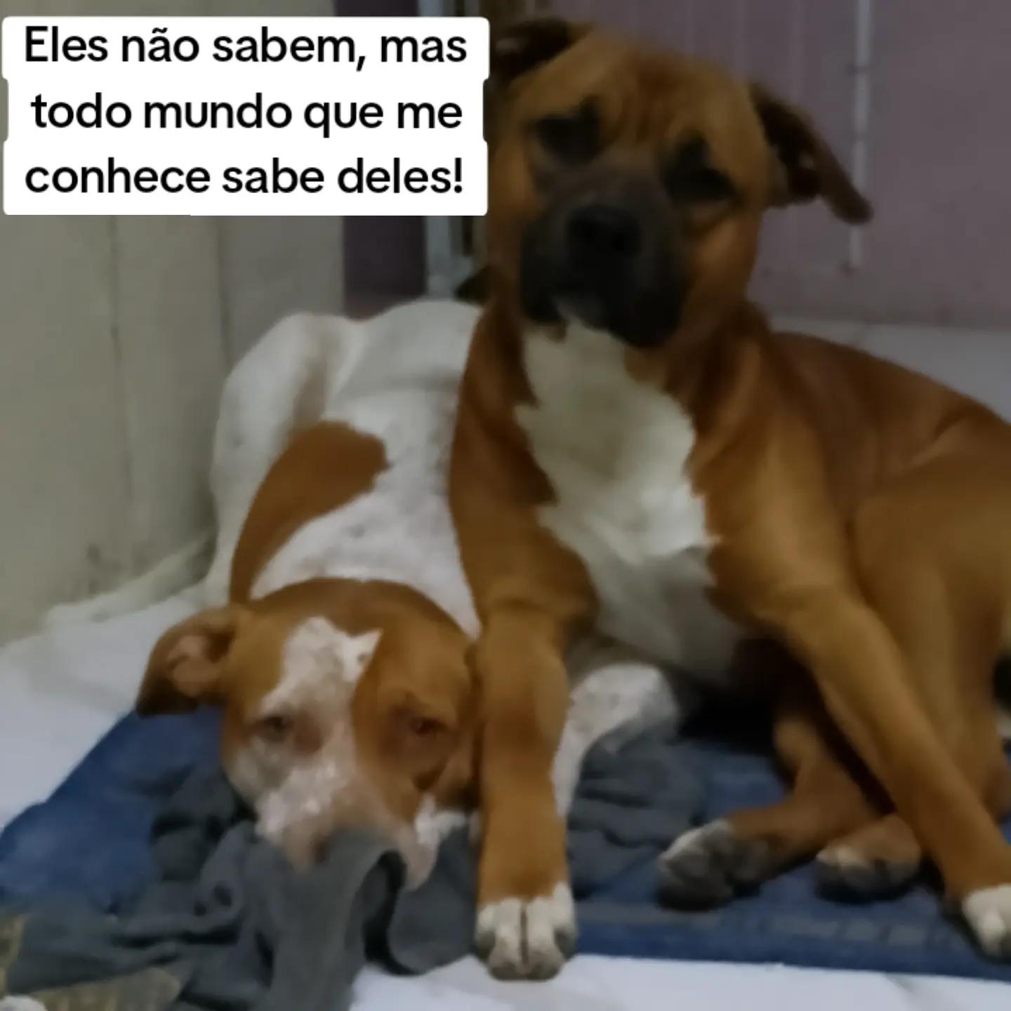 @Baiana loira