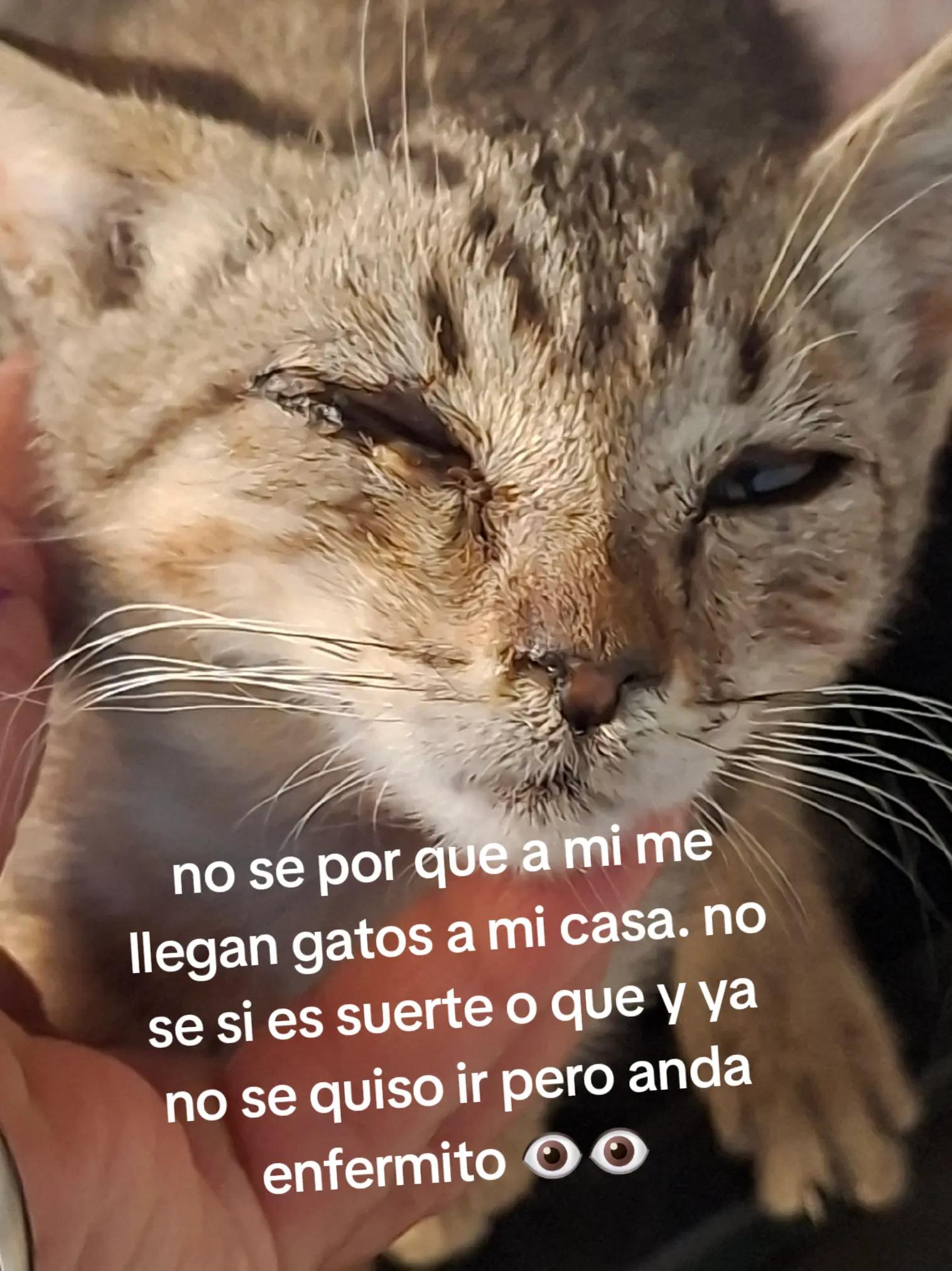 @Isabel Hernández