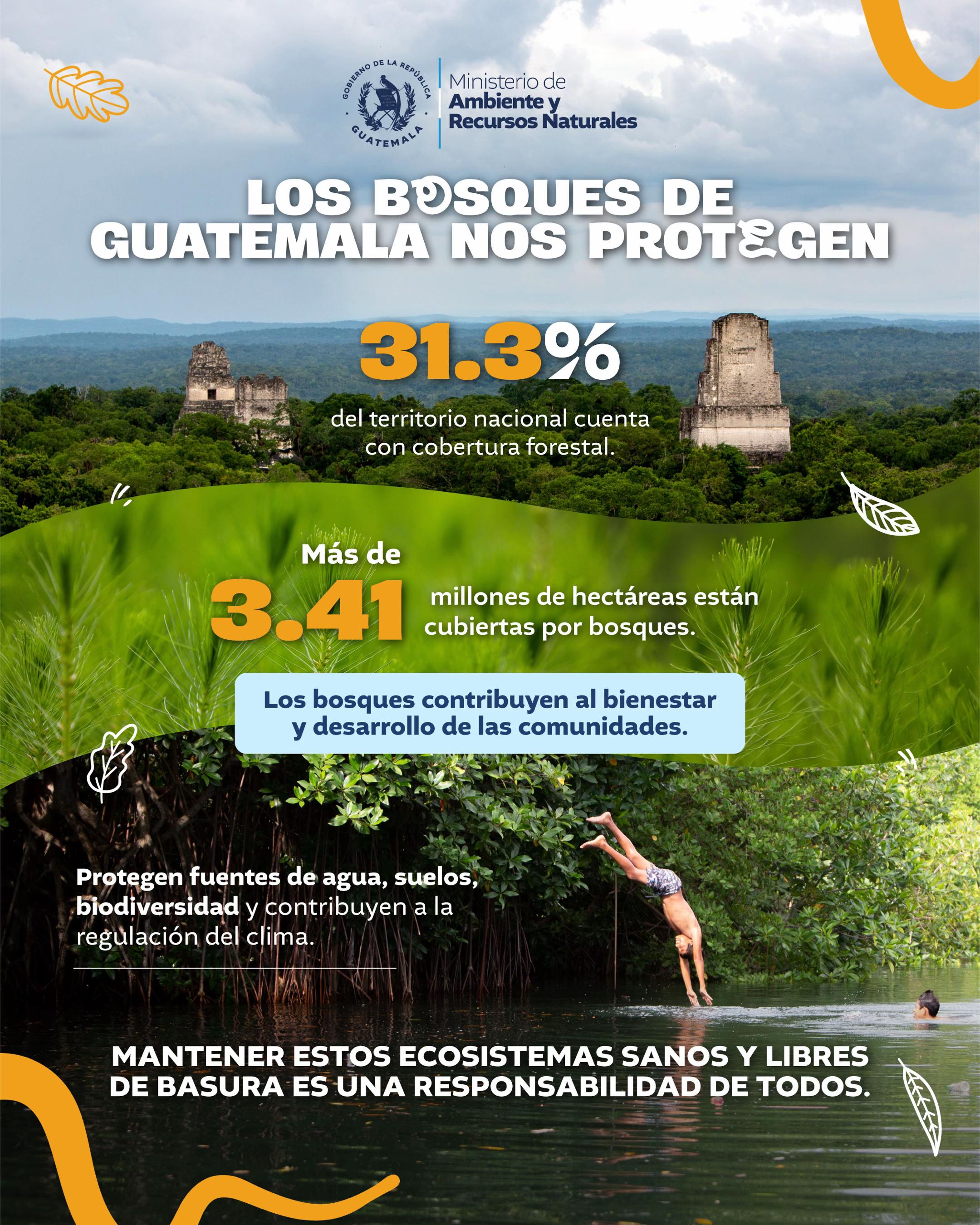 @Ministerio de Ambiente GT