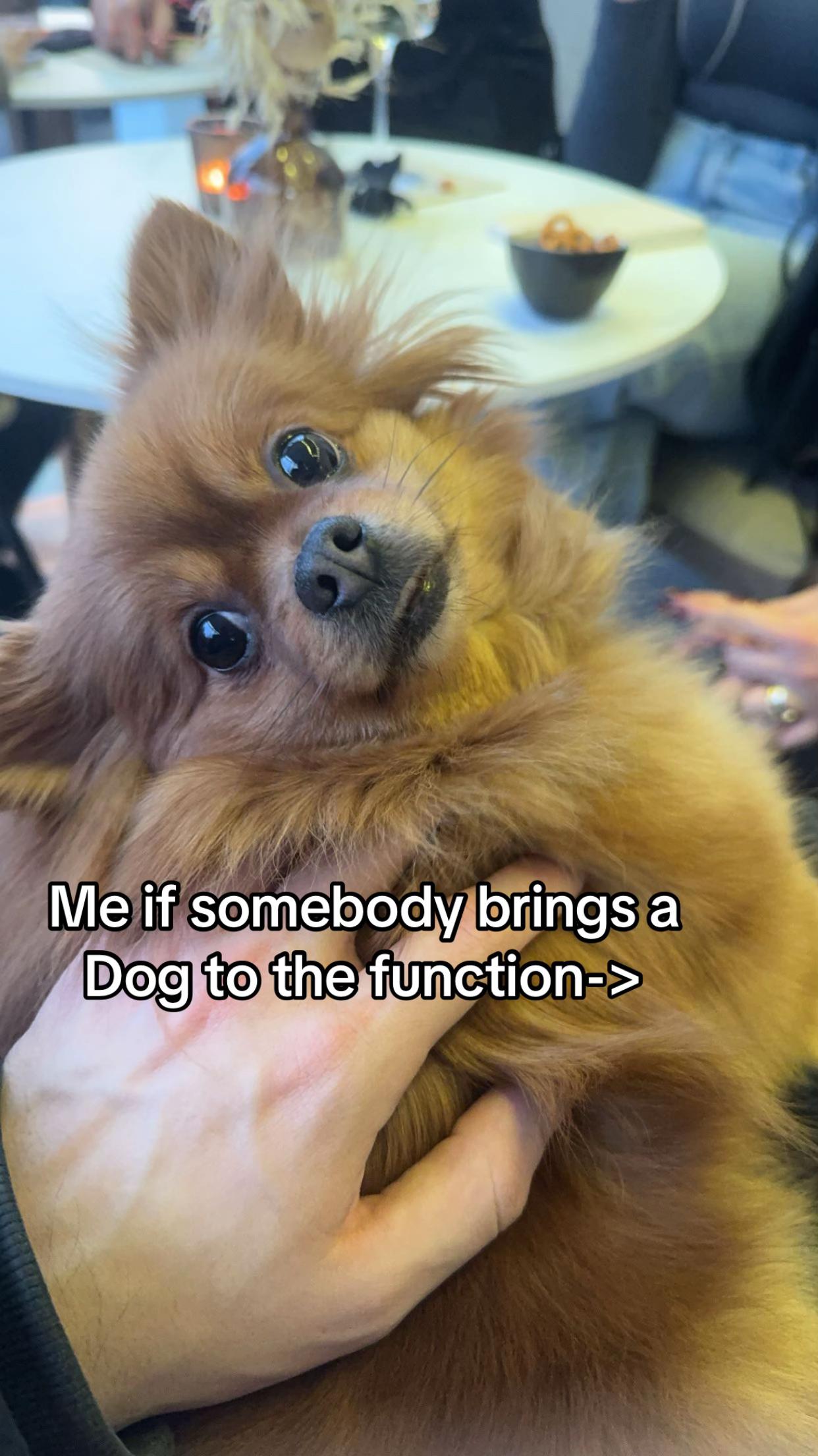 @Milo