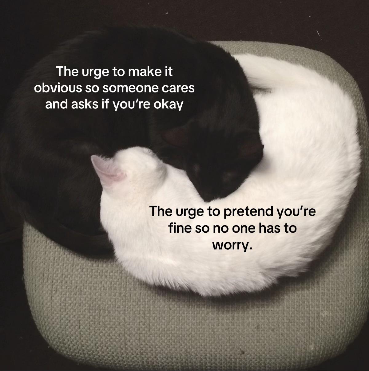 @Makeitstop