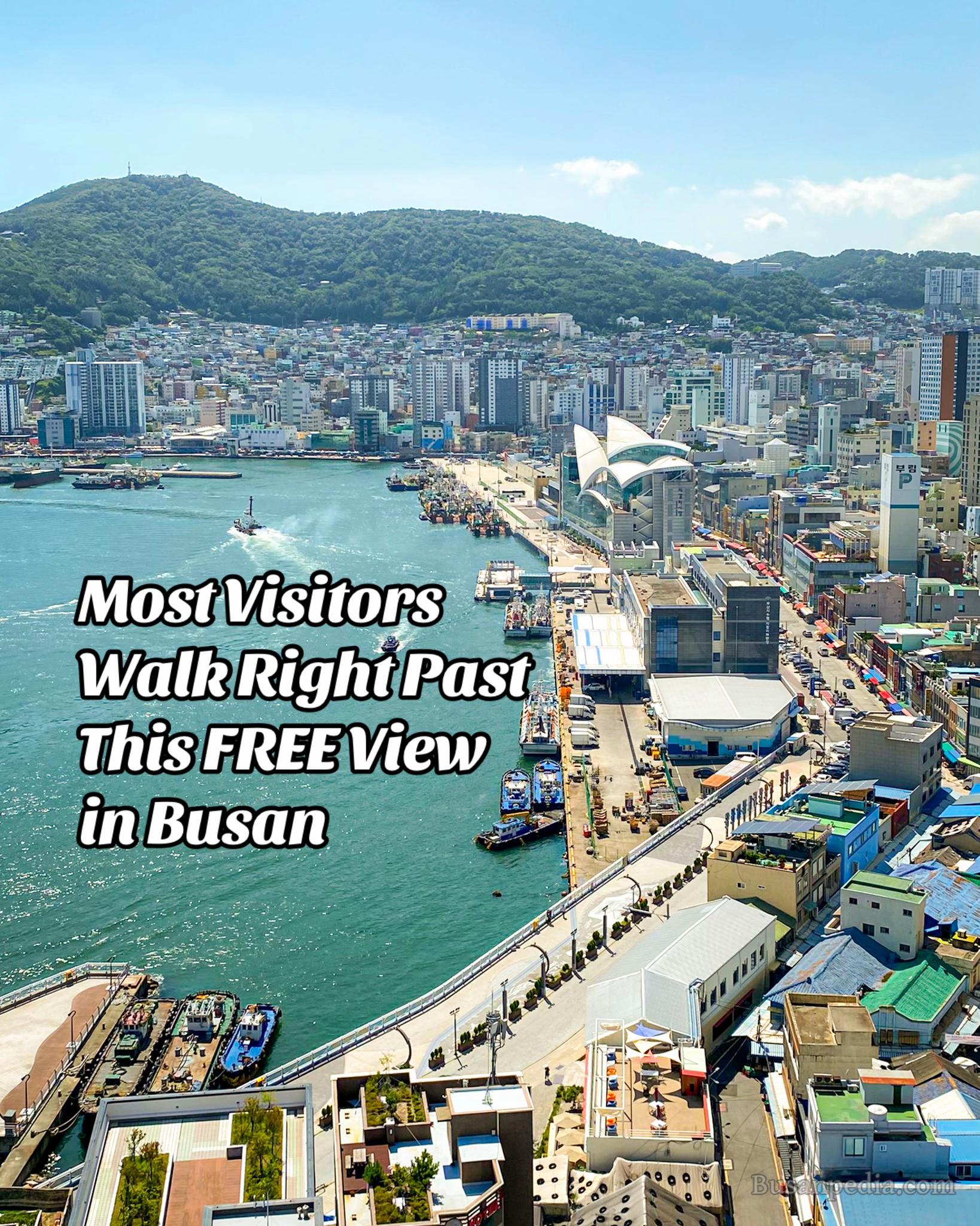 @Busanpedia🇰🇷