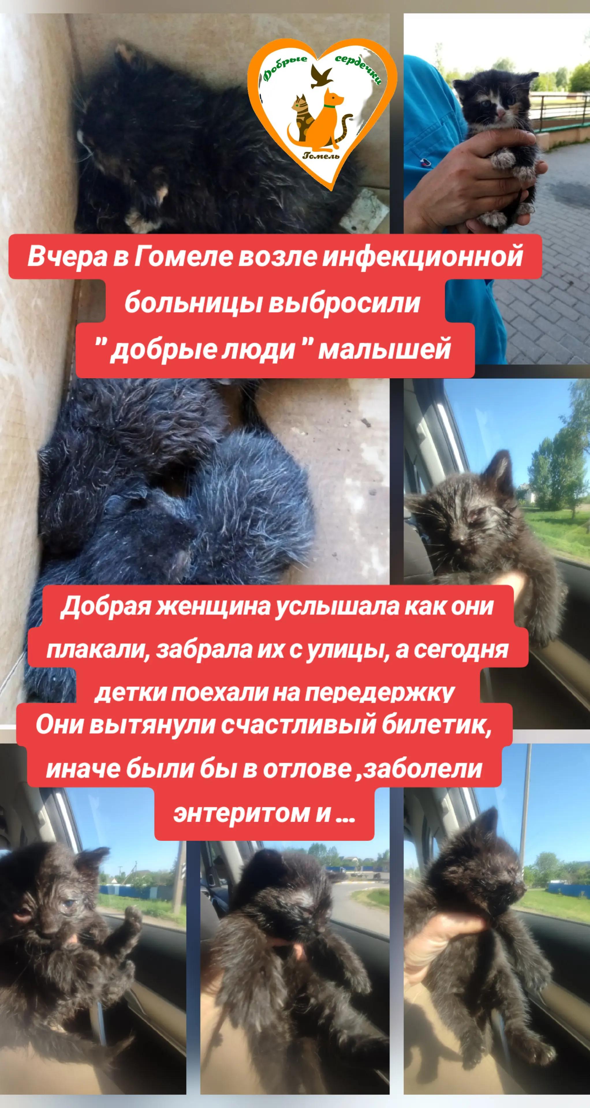 @Марина