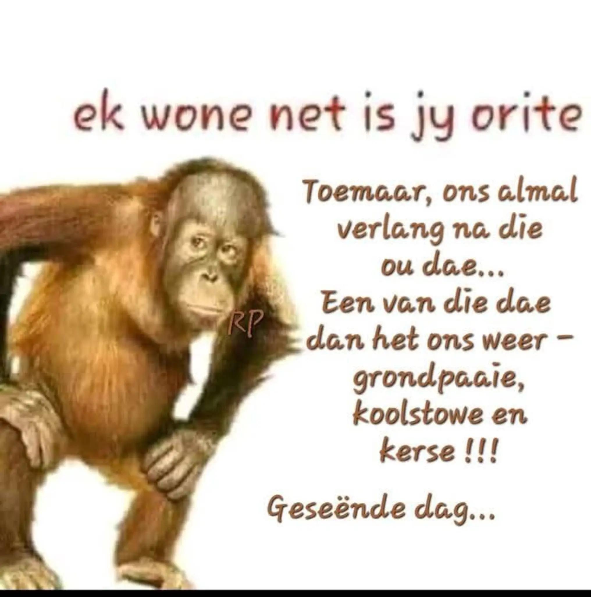 @Sommer net ek