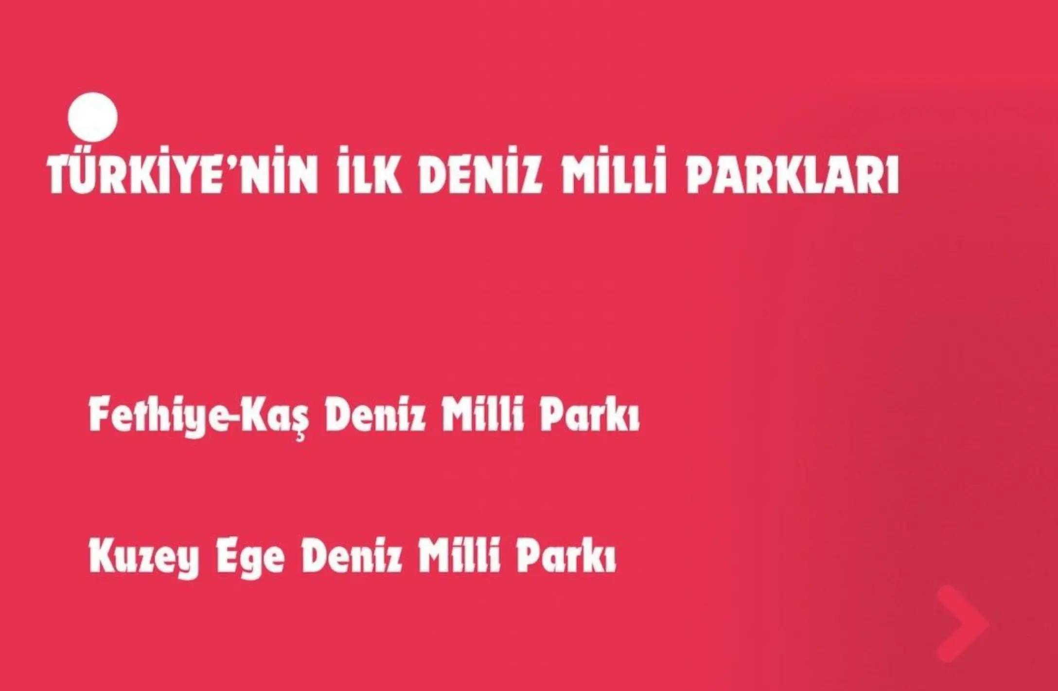 @Gözde Derin