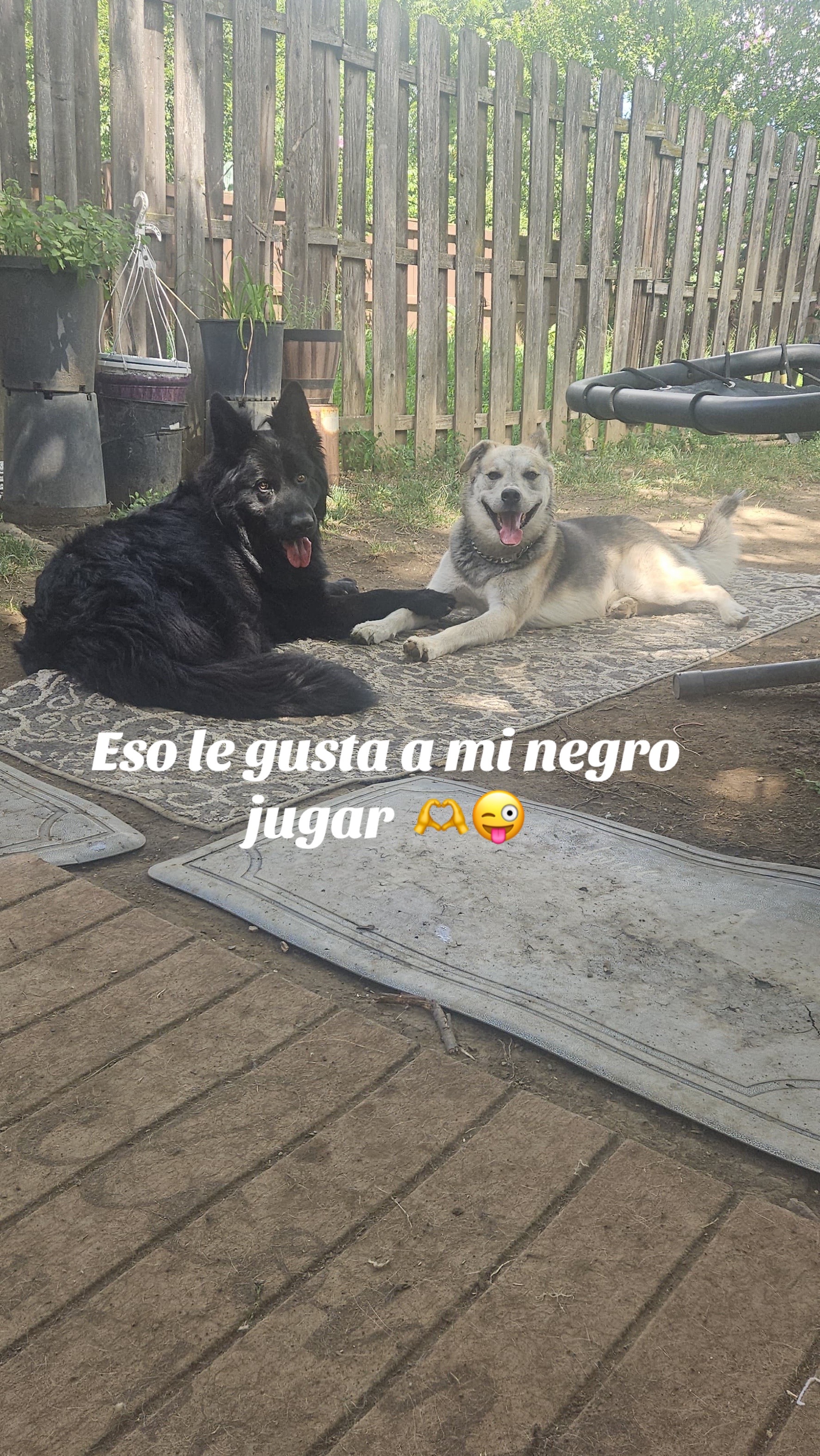 @tatianaolivares982