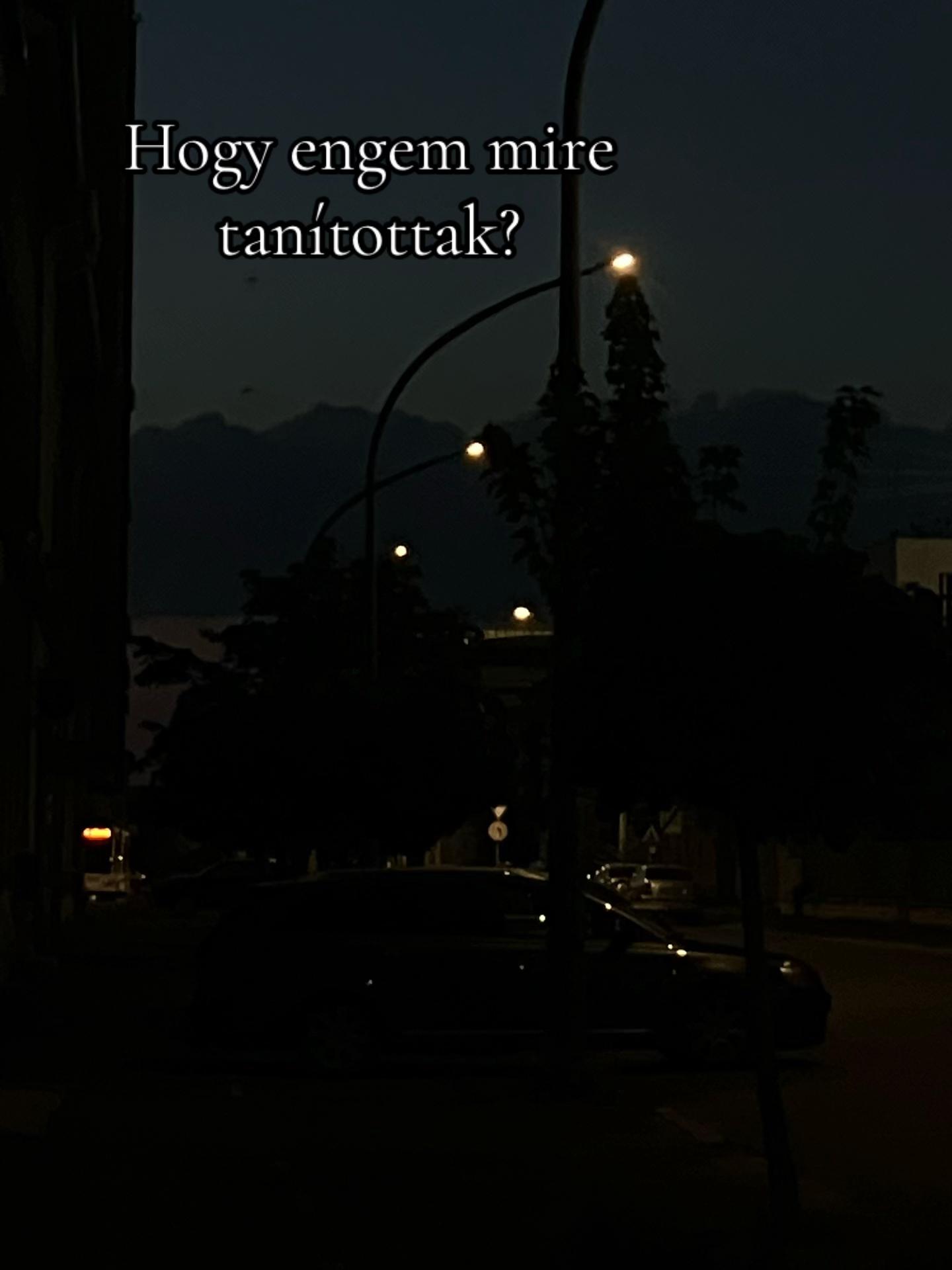 @Mercike Horváth