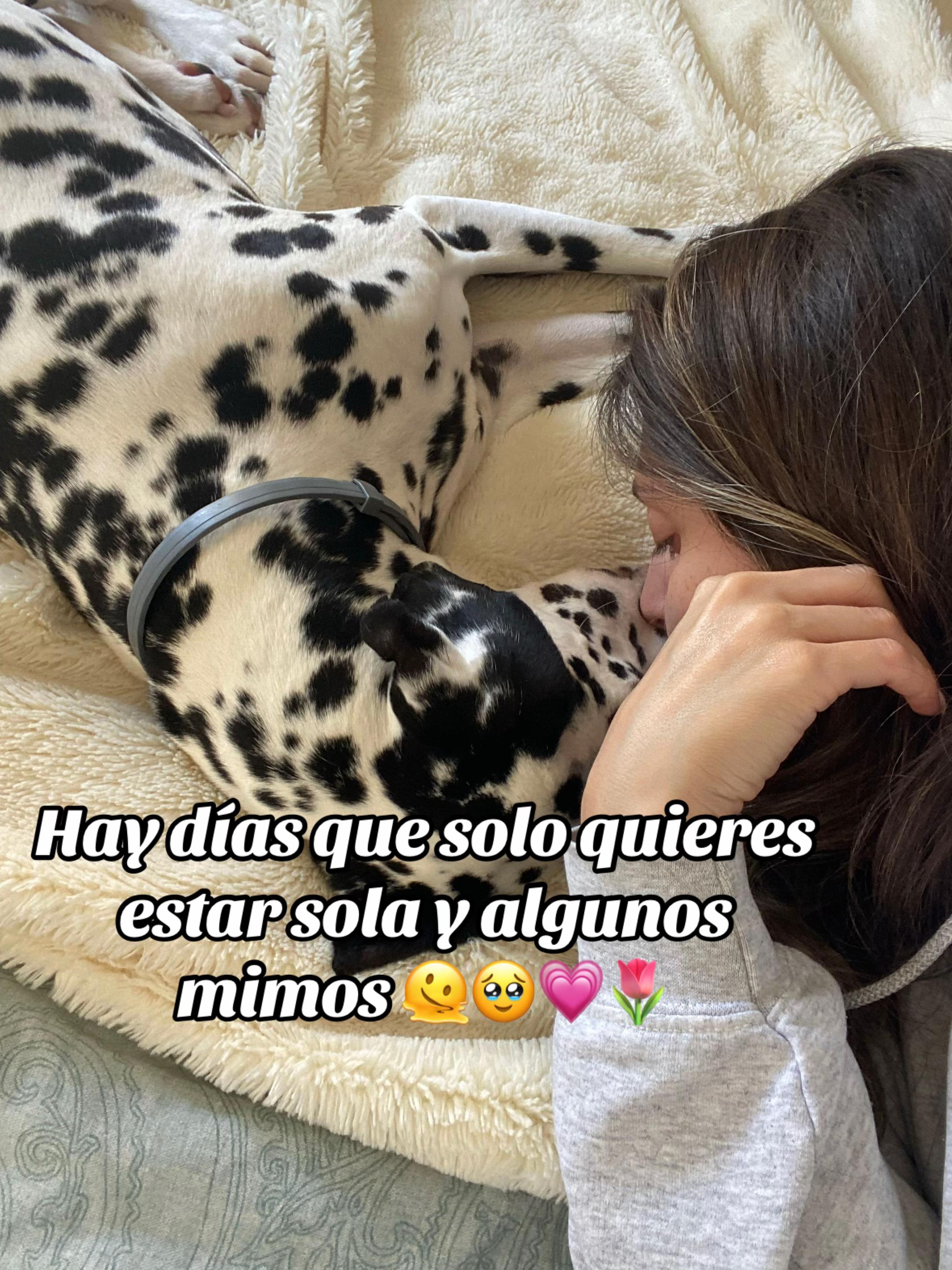 @Modoamanda